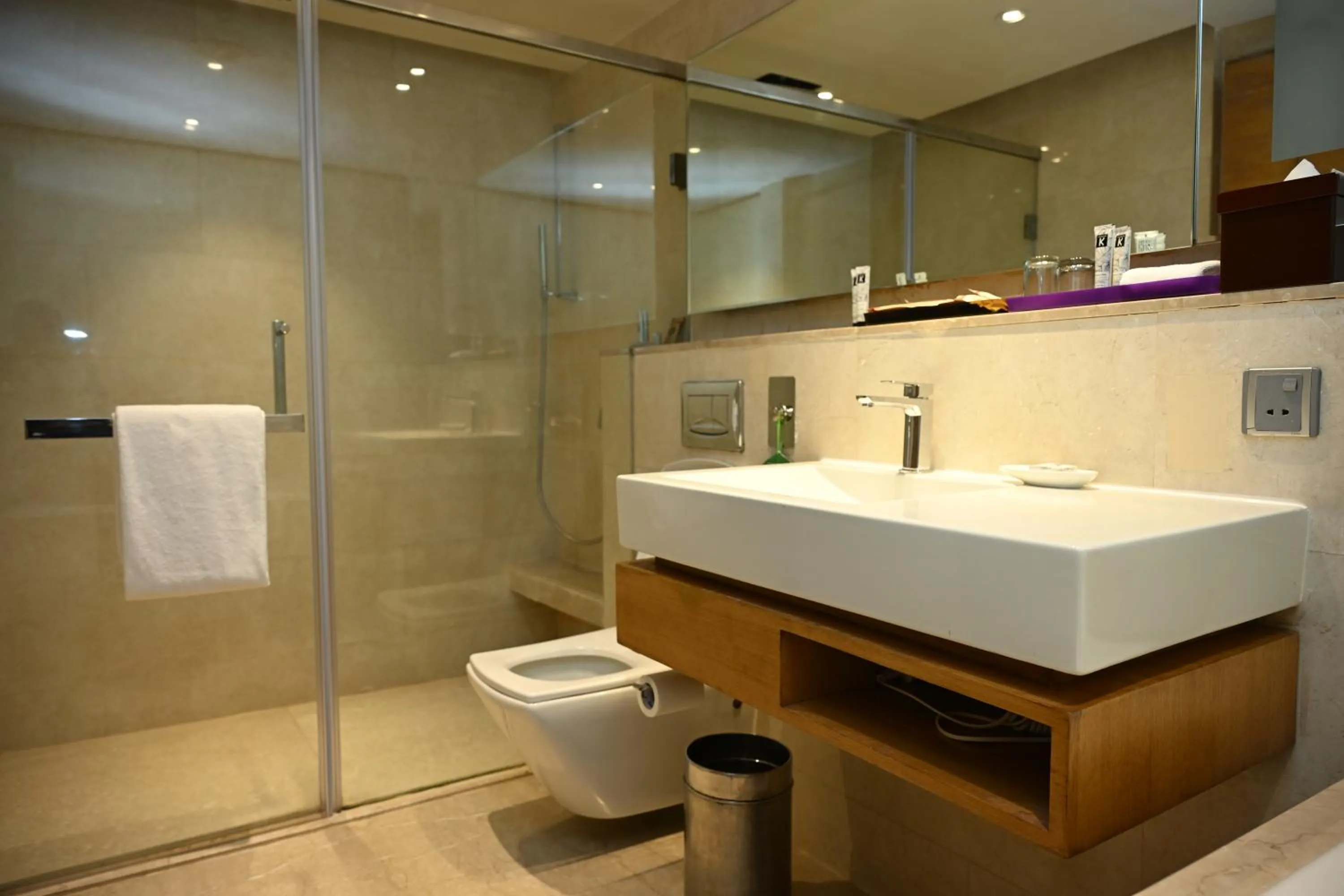 Shower in The LaLiT New Delhi