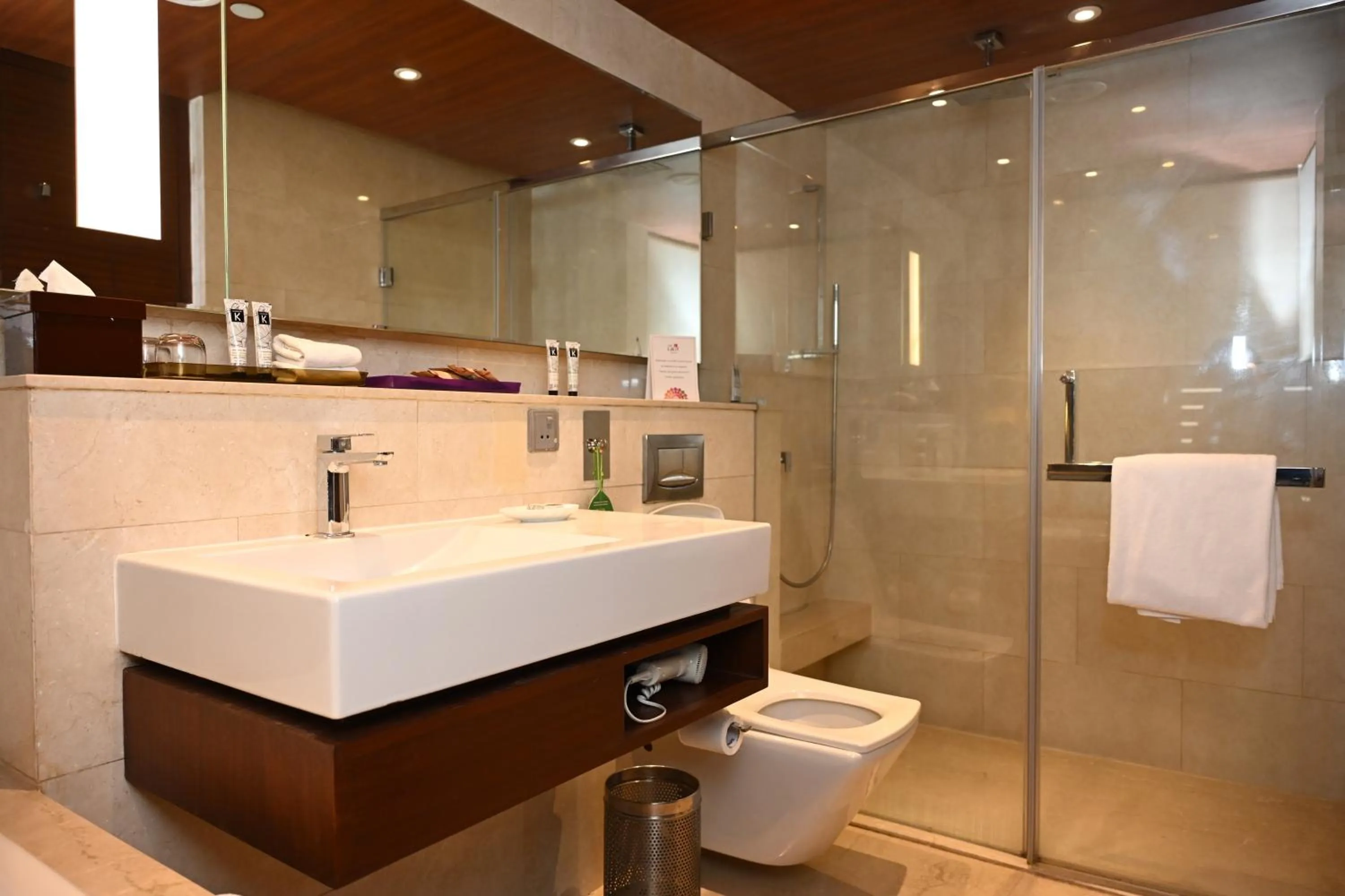 Shower in The LaLiT New Delhi