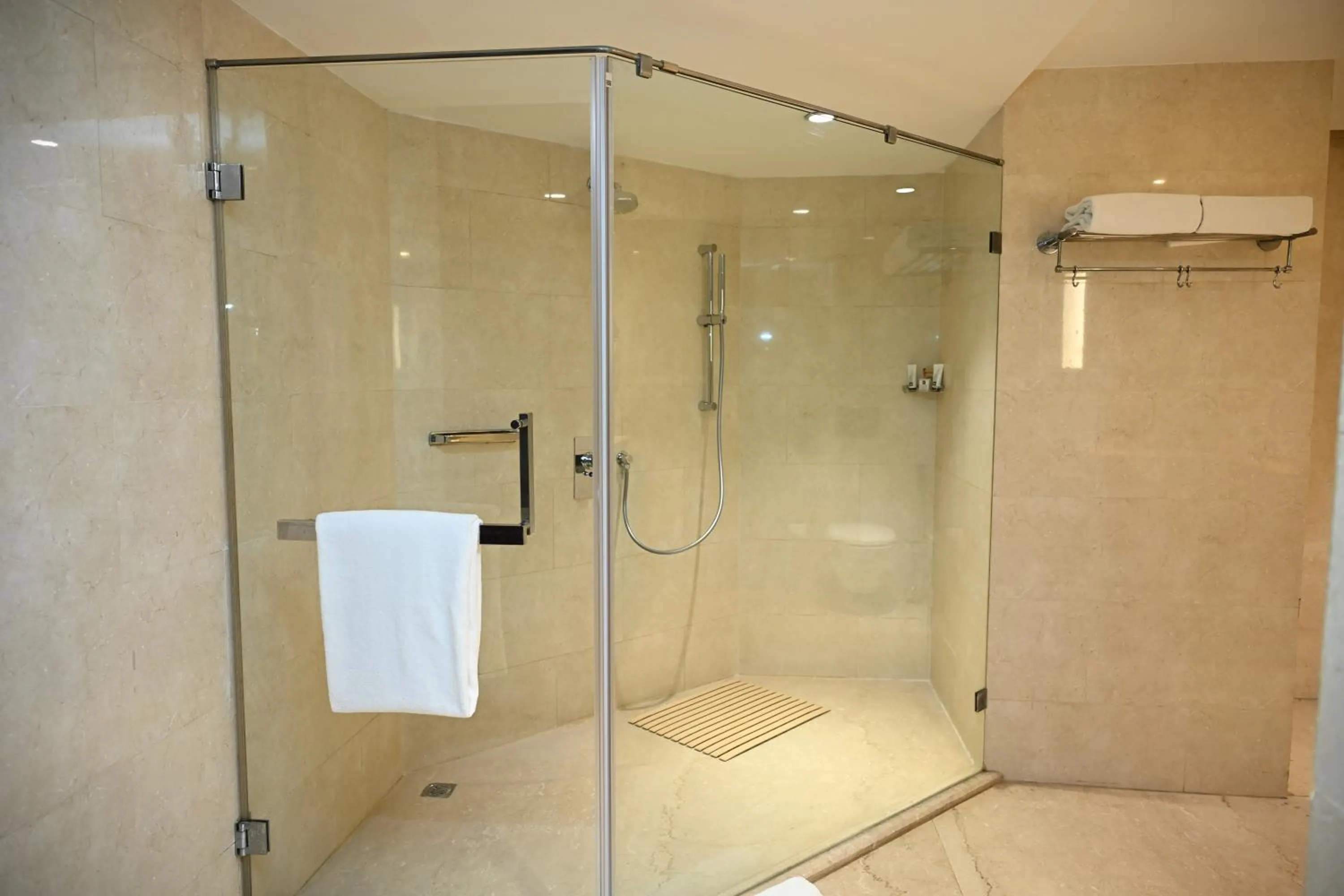 Shower in The LaLiT New Delhi