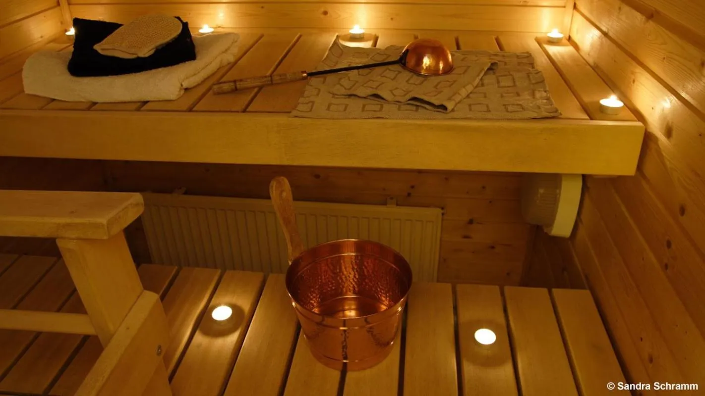 Sauna in Sariza Spring Hotel