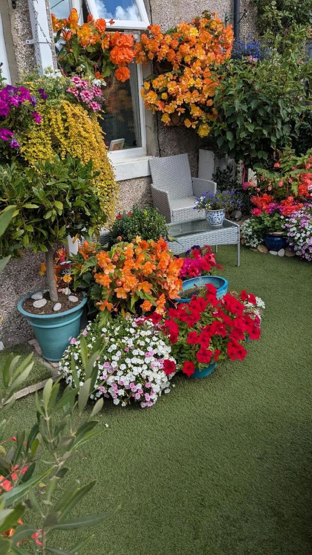 Garden in The Bridges B&B