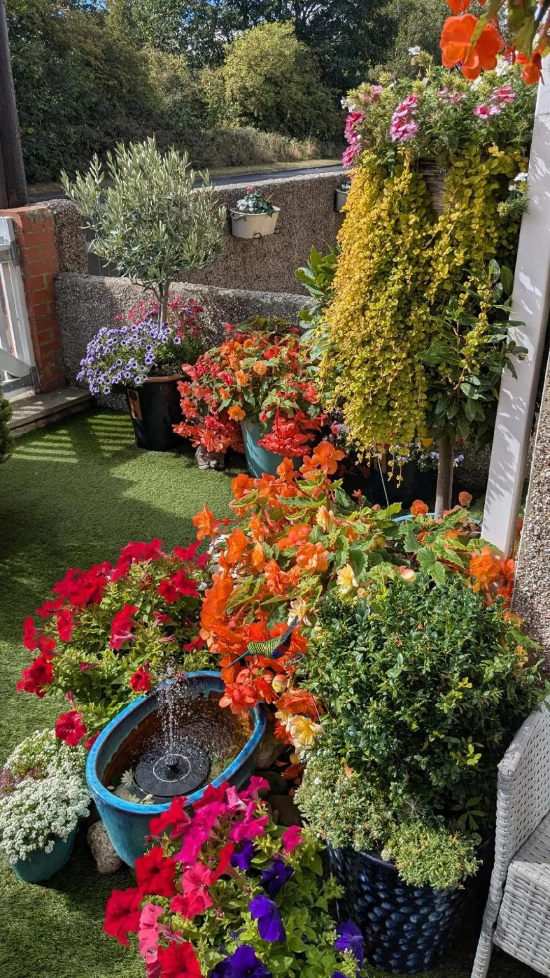 Garden in The Bridges B&B