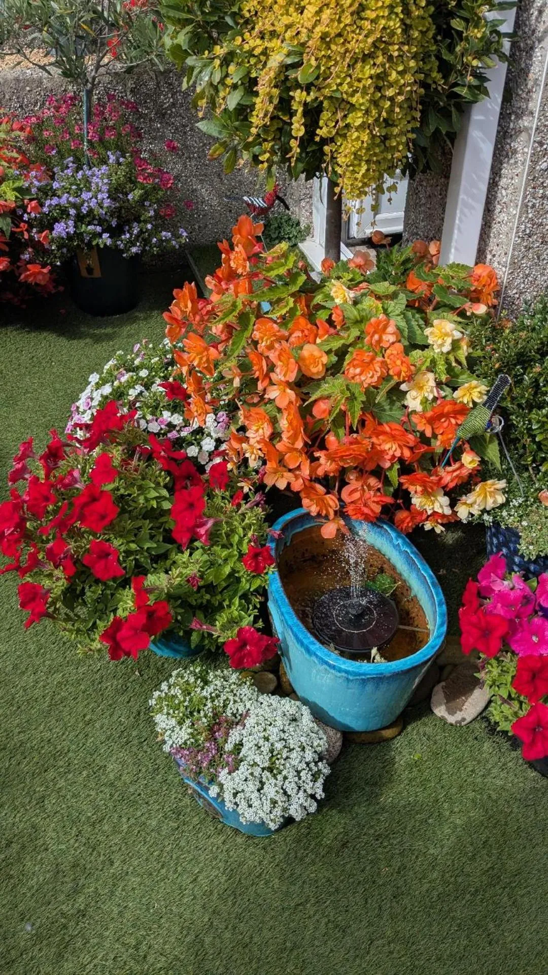 Garden in The Bridges B&B