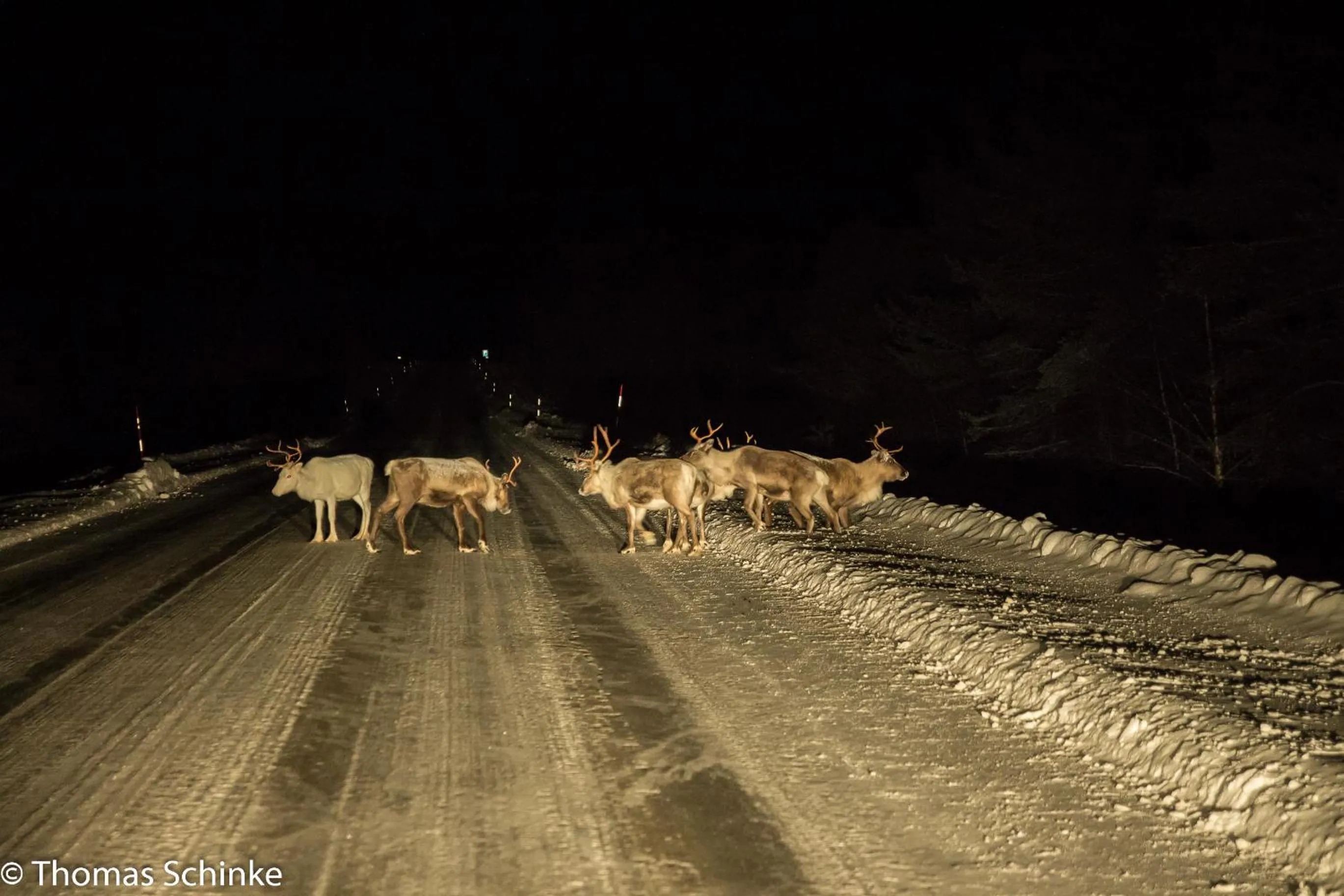 Off site in Vuotson Maja B&B