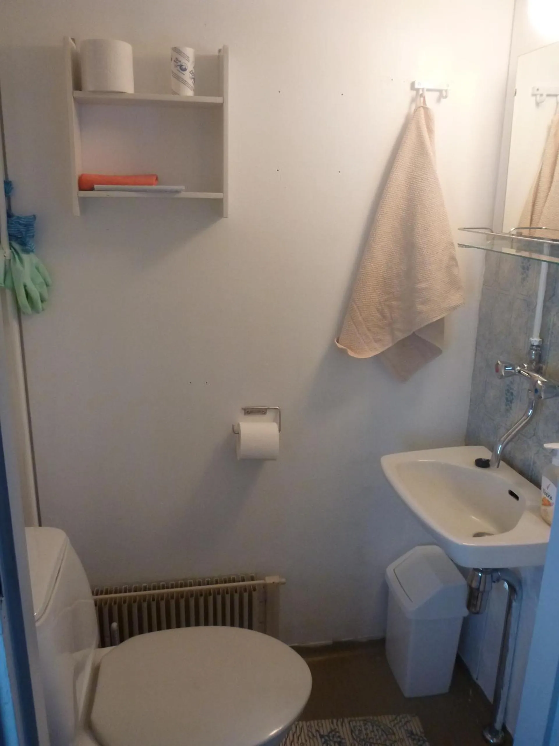 Toilet in Vuotson Maja B&B