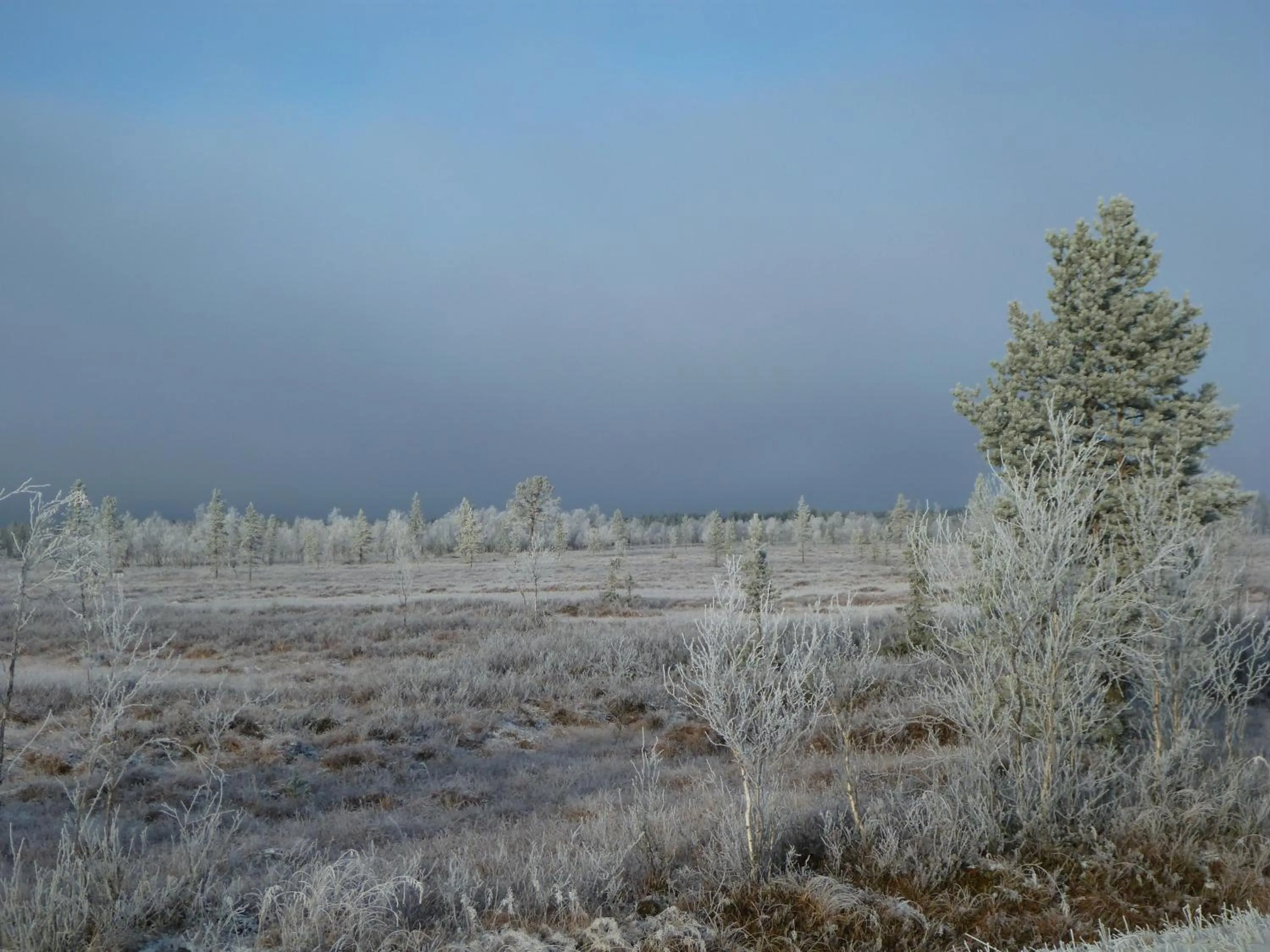 Natural landscape in Vuotson Maja B&B