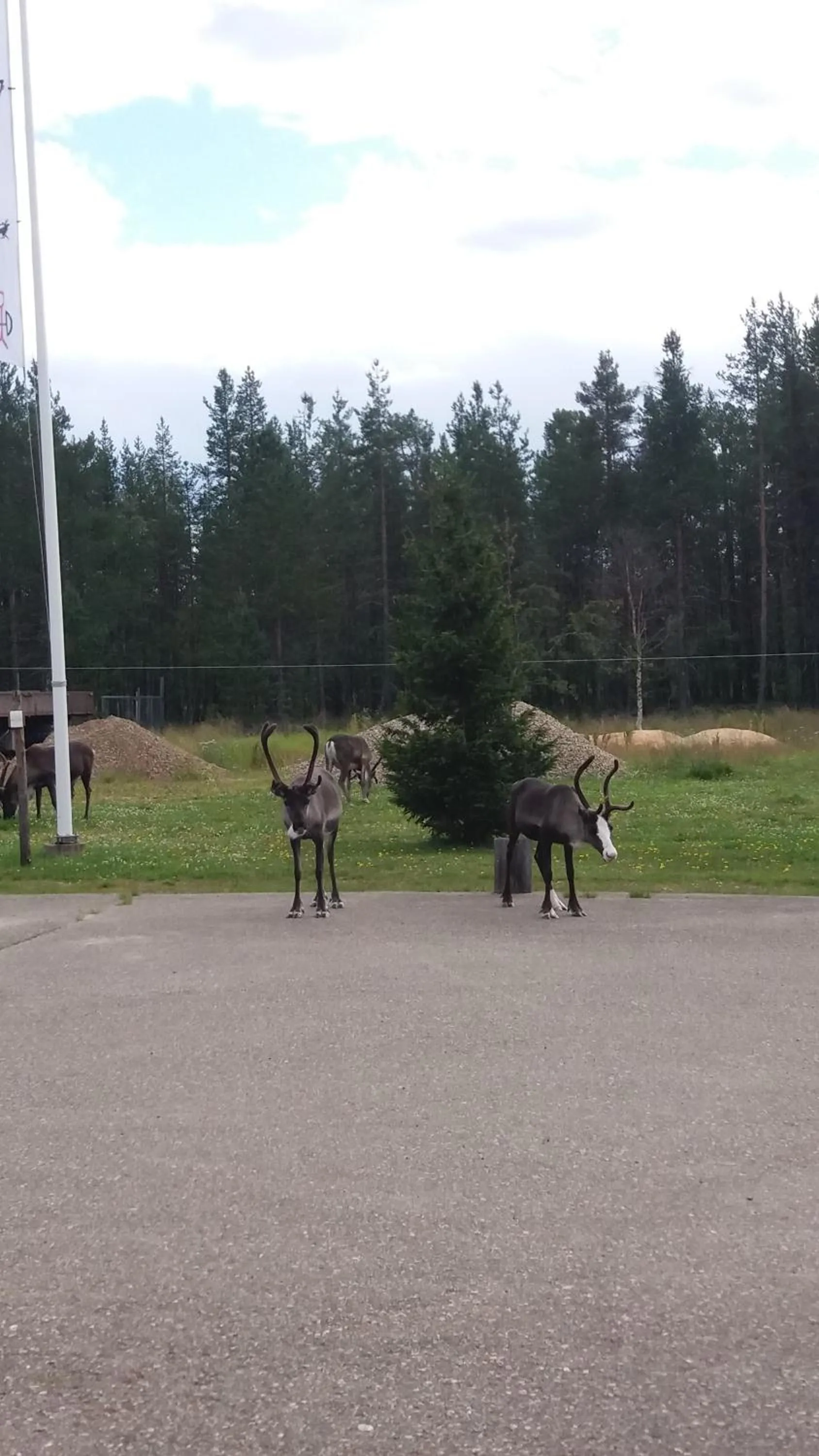 Spring in Vuotson Maja B&B