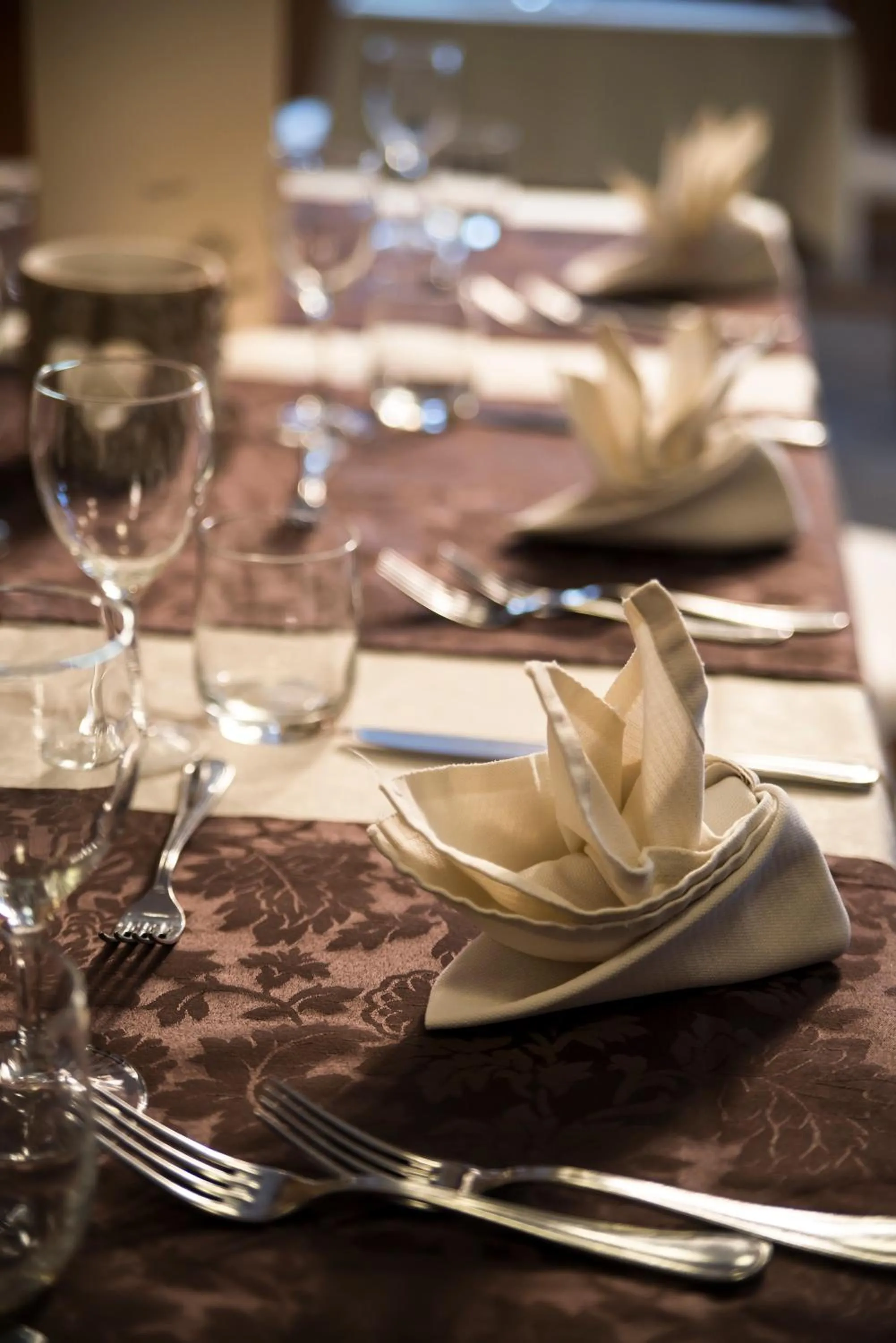 Dinner in Hotel Irma