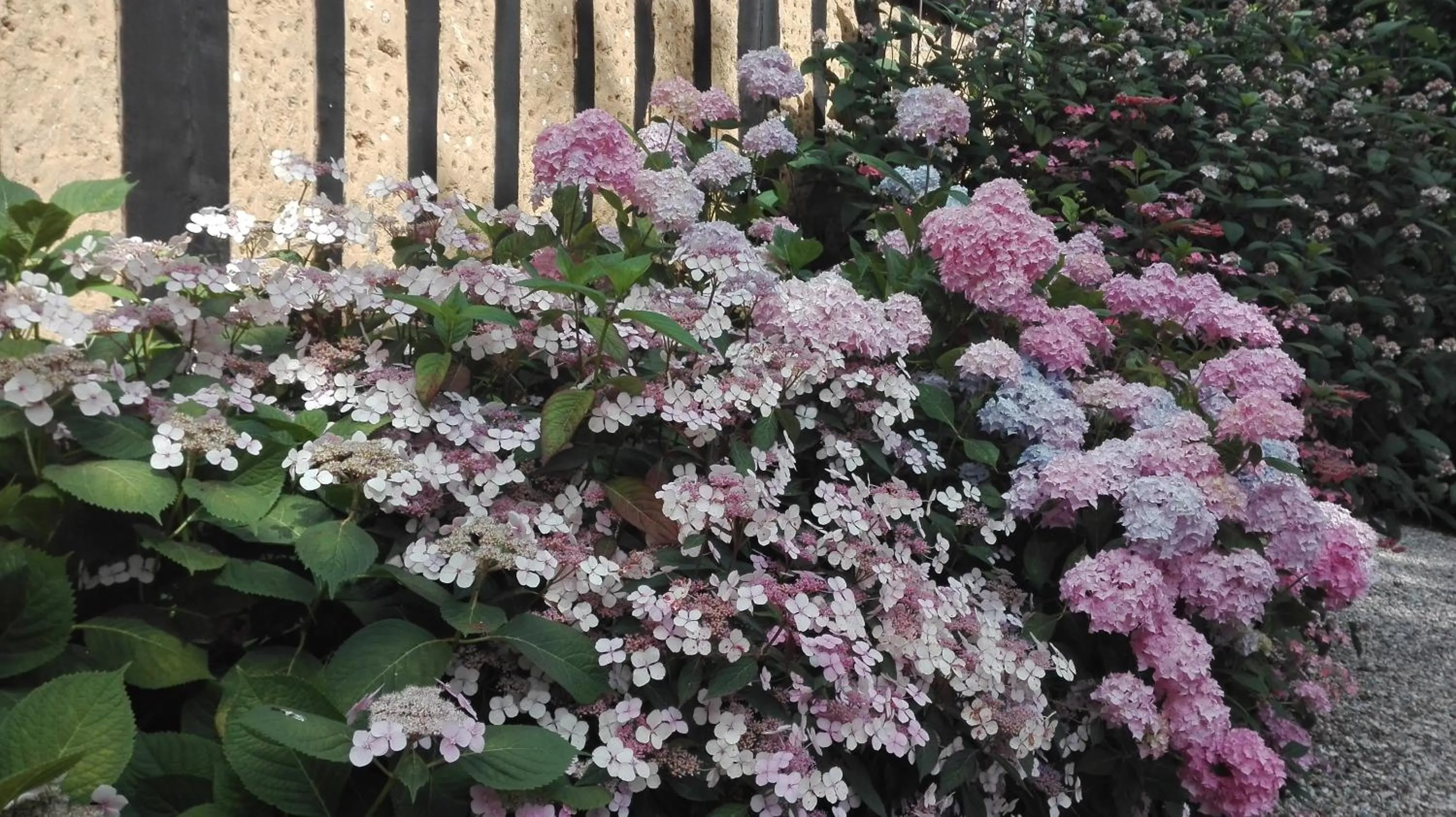Garden view in Le lit de la Saâne
