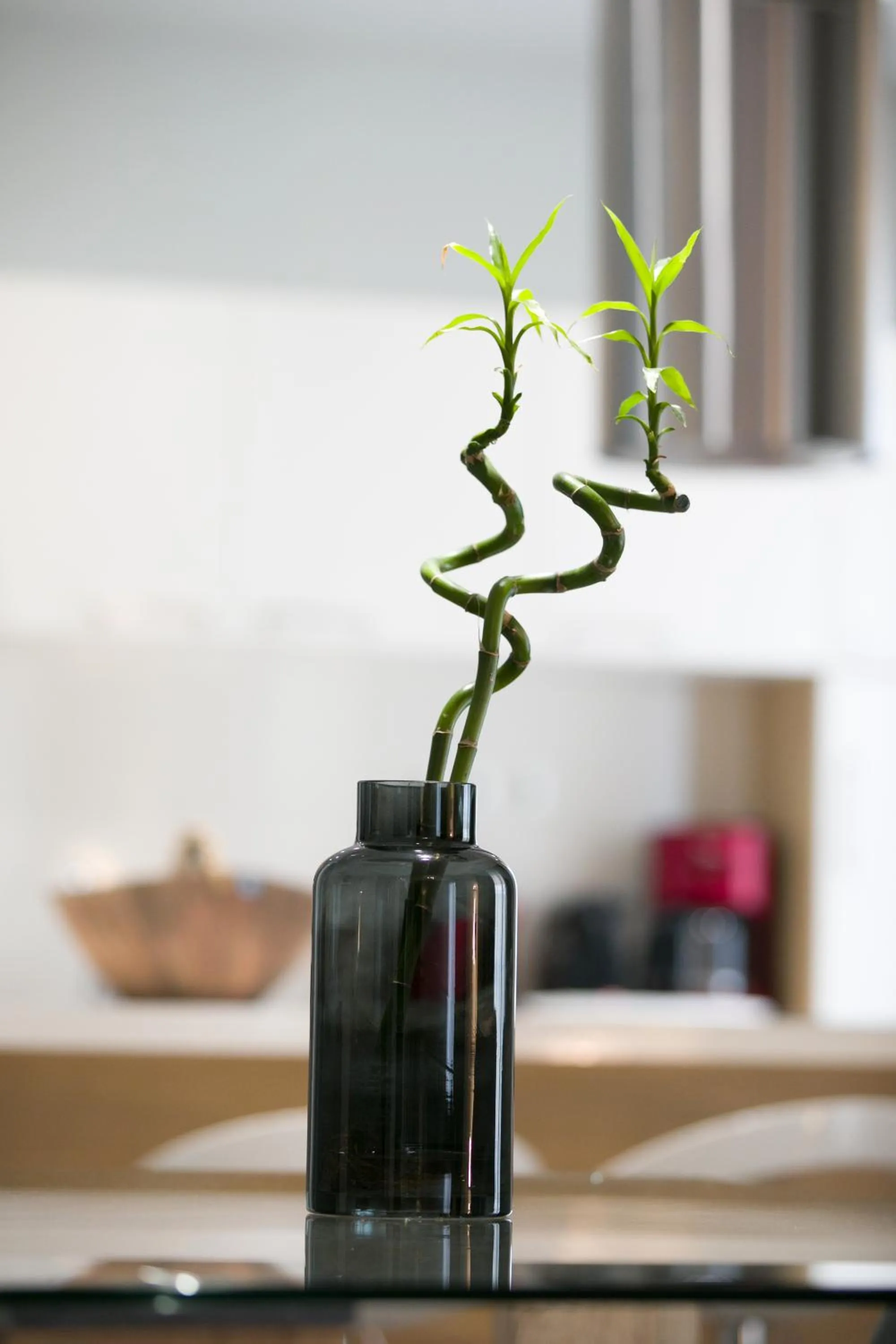 Decorative detail in Polis Apartments