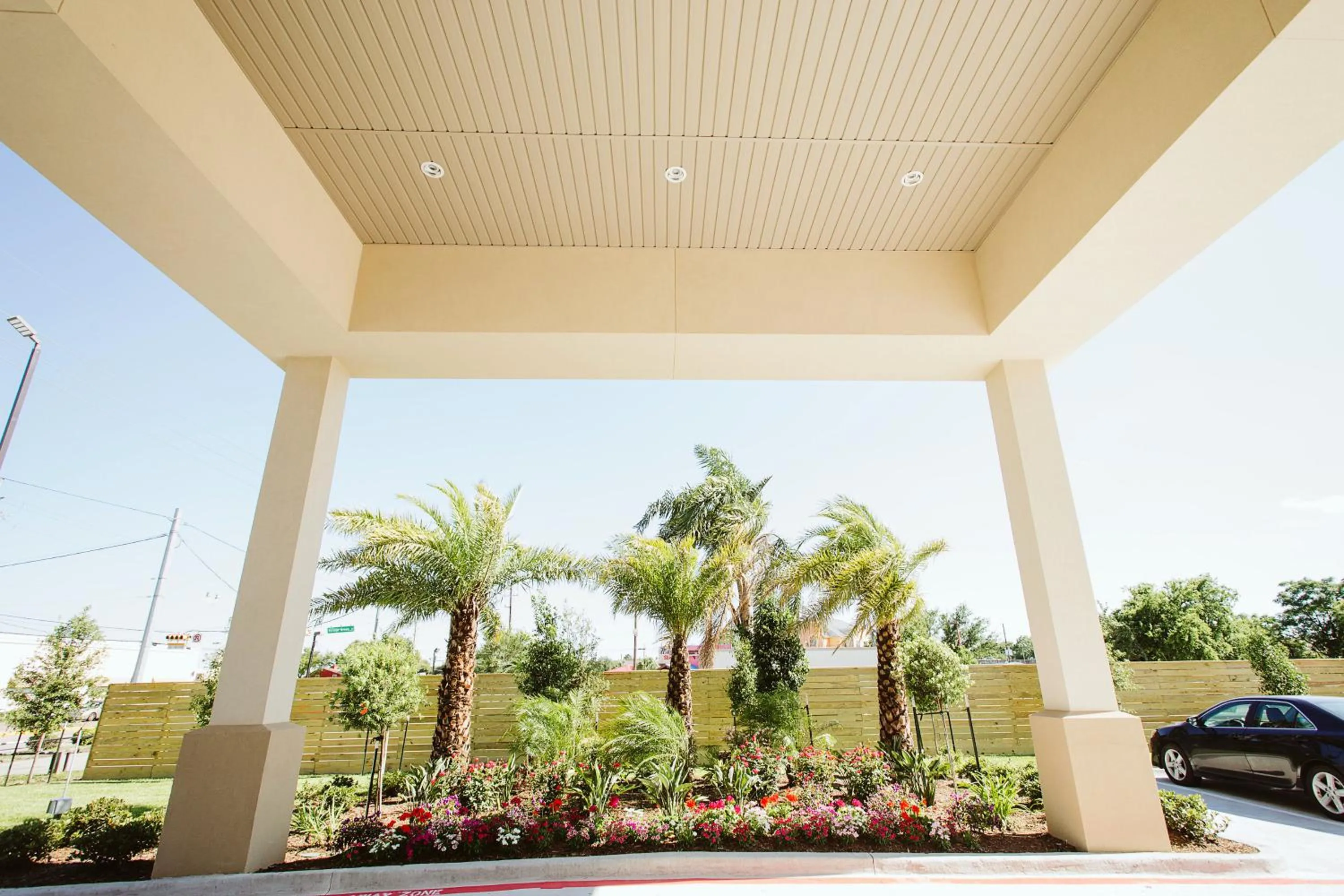 Day in Palace Inn 290 & Jones Rd