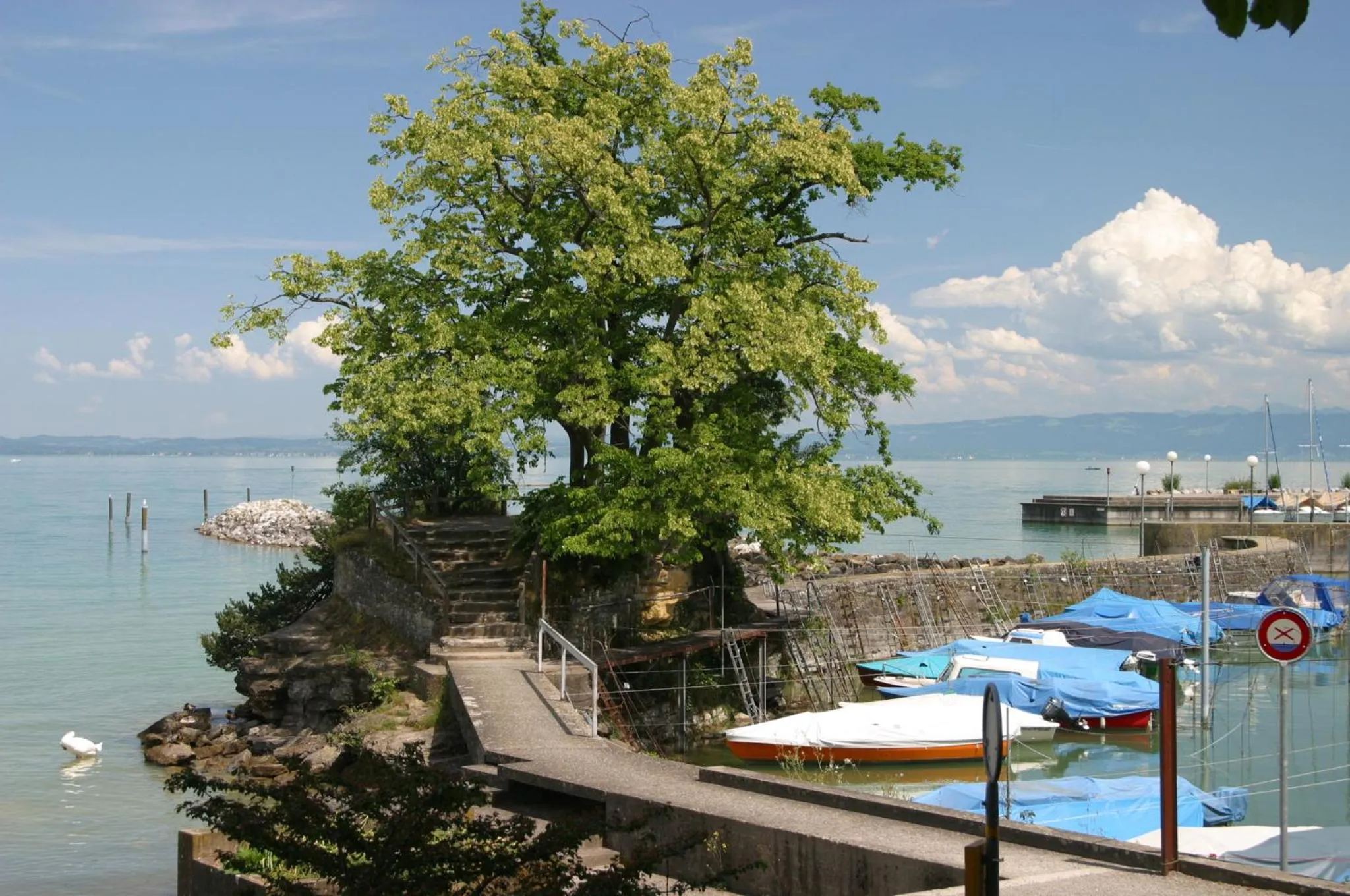 Natural landscape in Park - Hotel Inseli