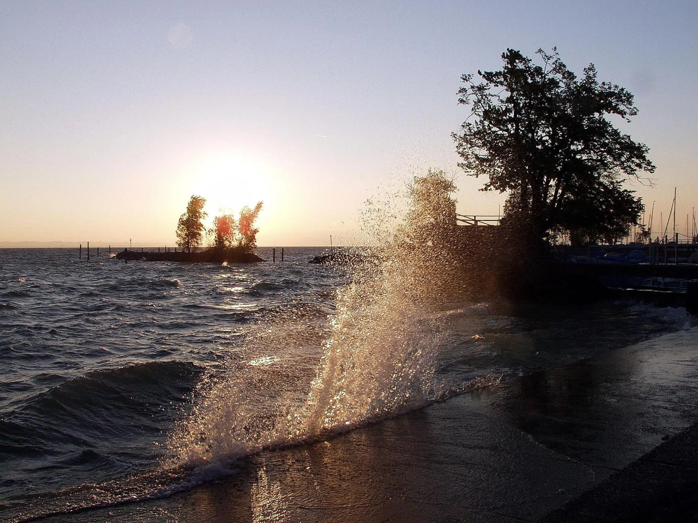 Area and facilities in Park - Hotel Inseli