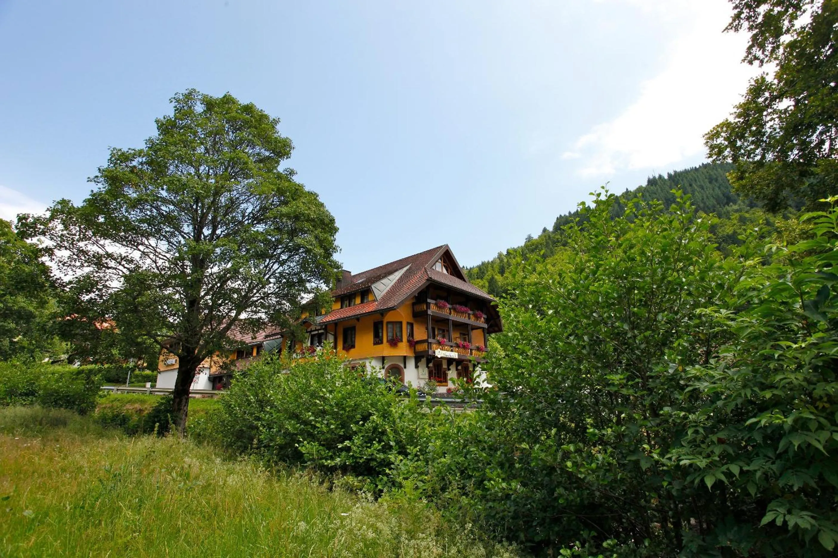 Hotel Gasthaus Hirschen Todtnau Brandenberg Hochschwarzwald Feldberg