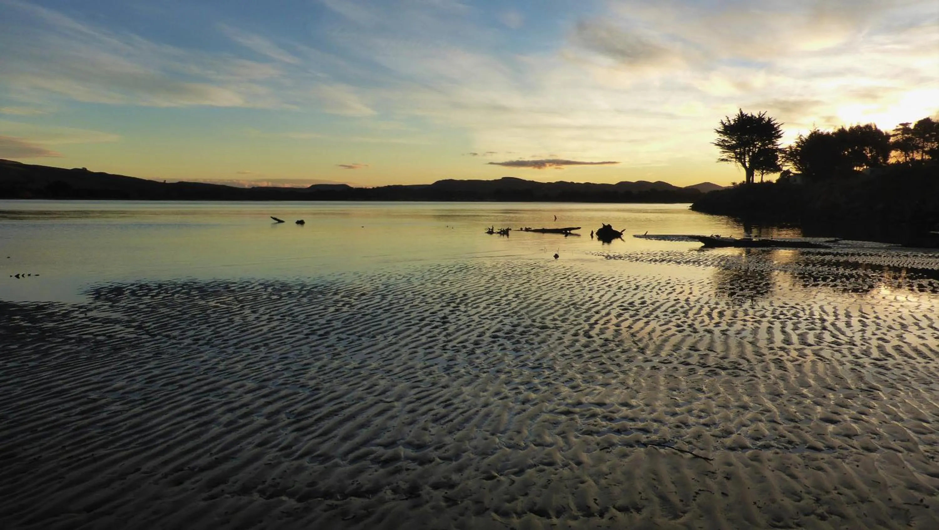 Natural landscape in Surat Bay Lodge, Motel and Backpackers