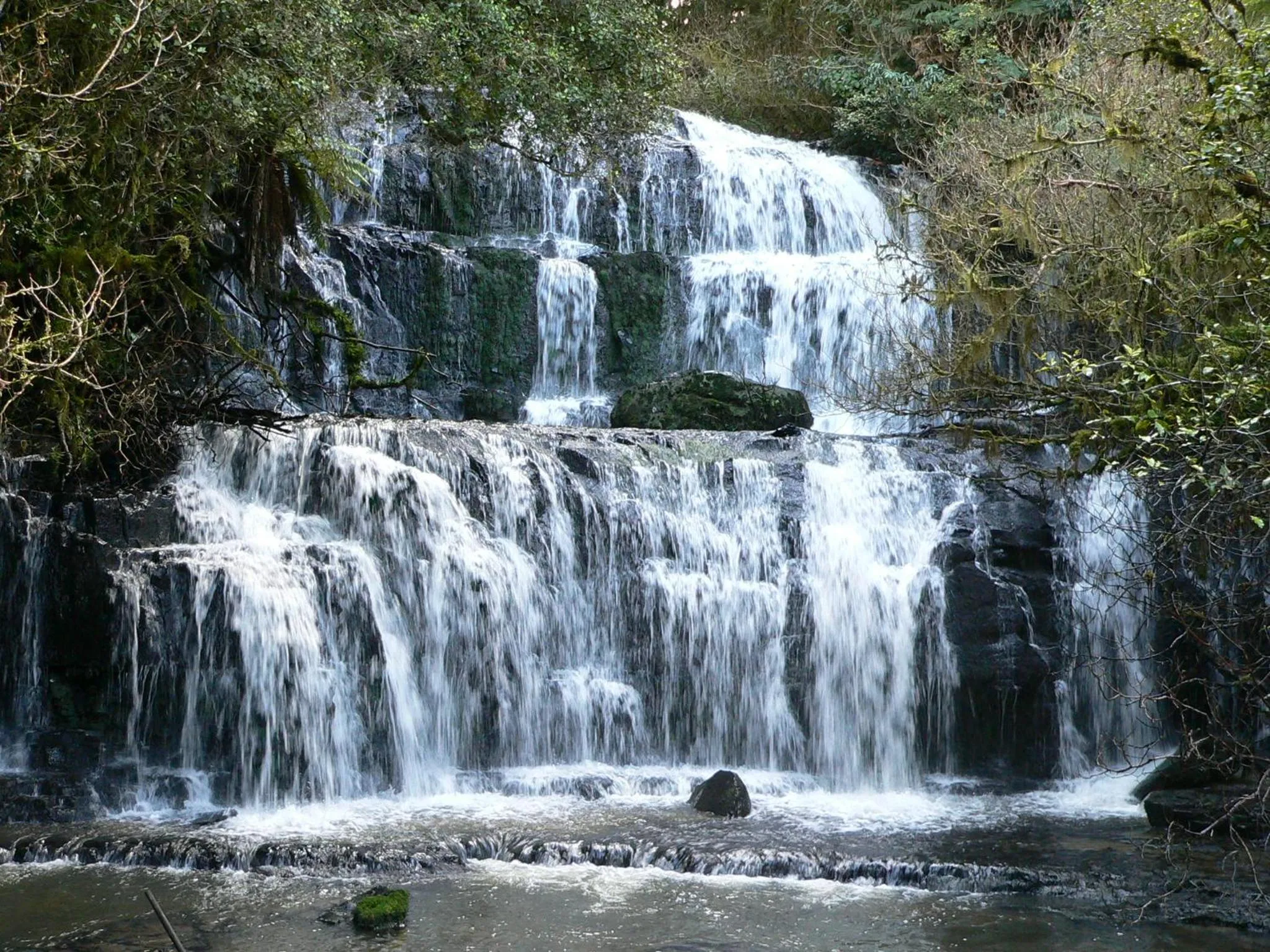 Spring in Surat Bay Lodge, Motel and Backpackers