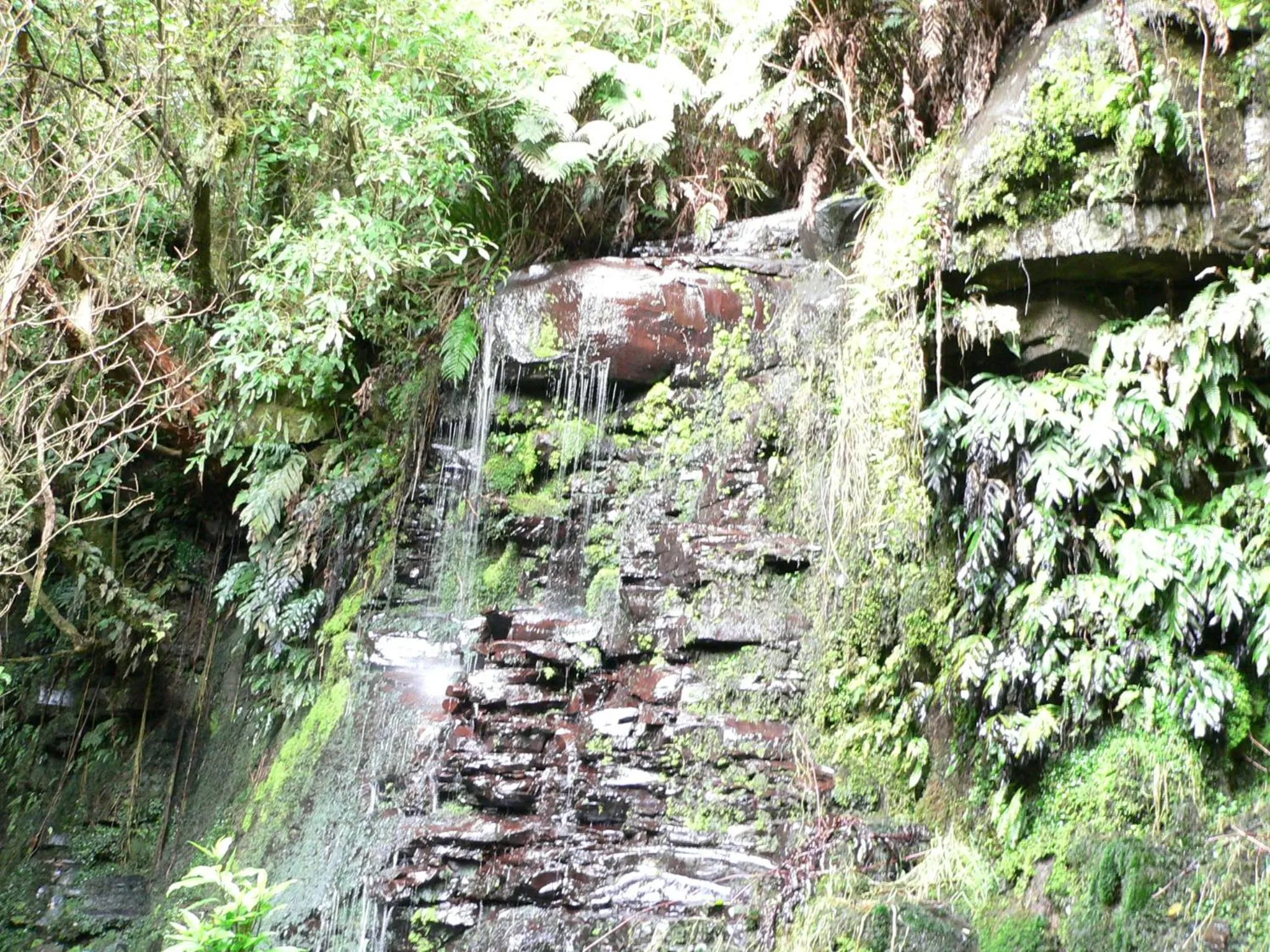 Surat Bay Lodge, Motel and Backpackers