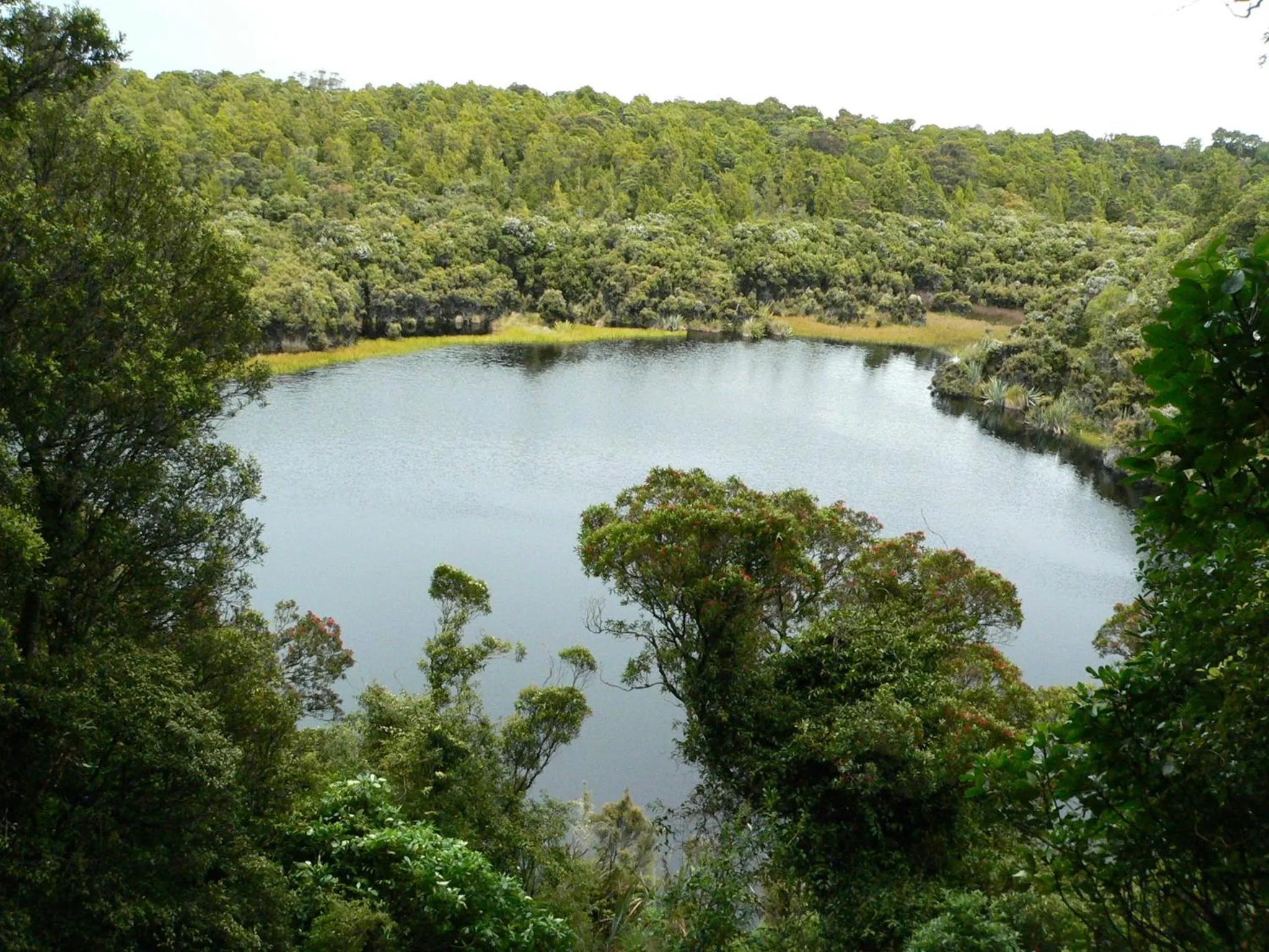Spring in Surat Bay Lodge, Motel and Backpackers