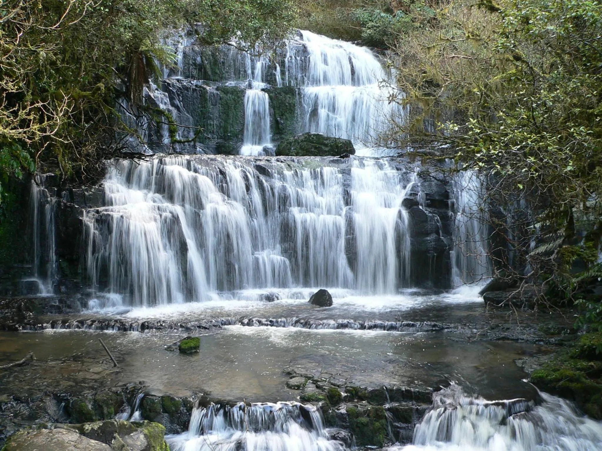 Natural landscape in Surat Bay Lodge, Motel and Backpackers
