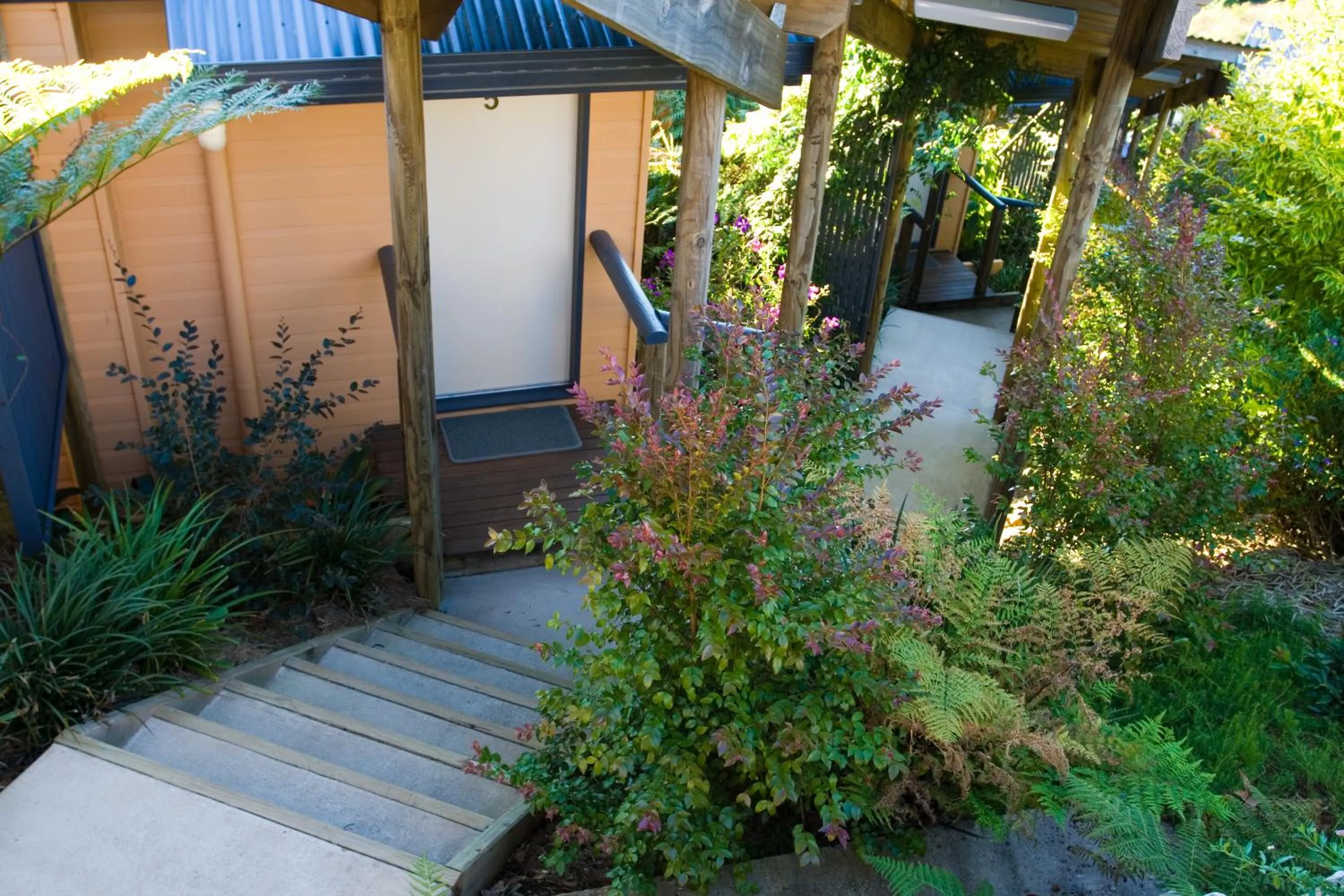 Other in Top Of The Hill