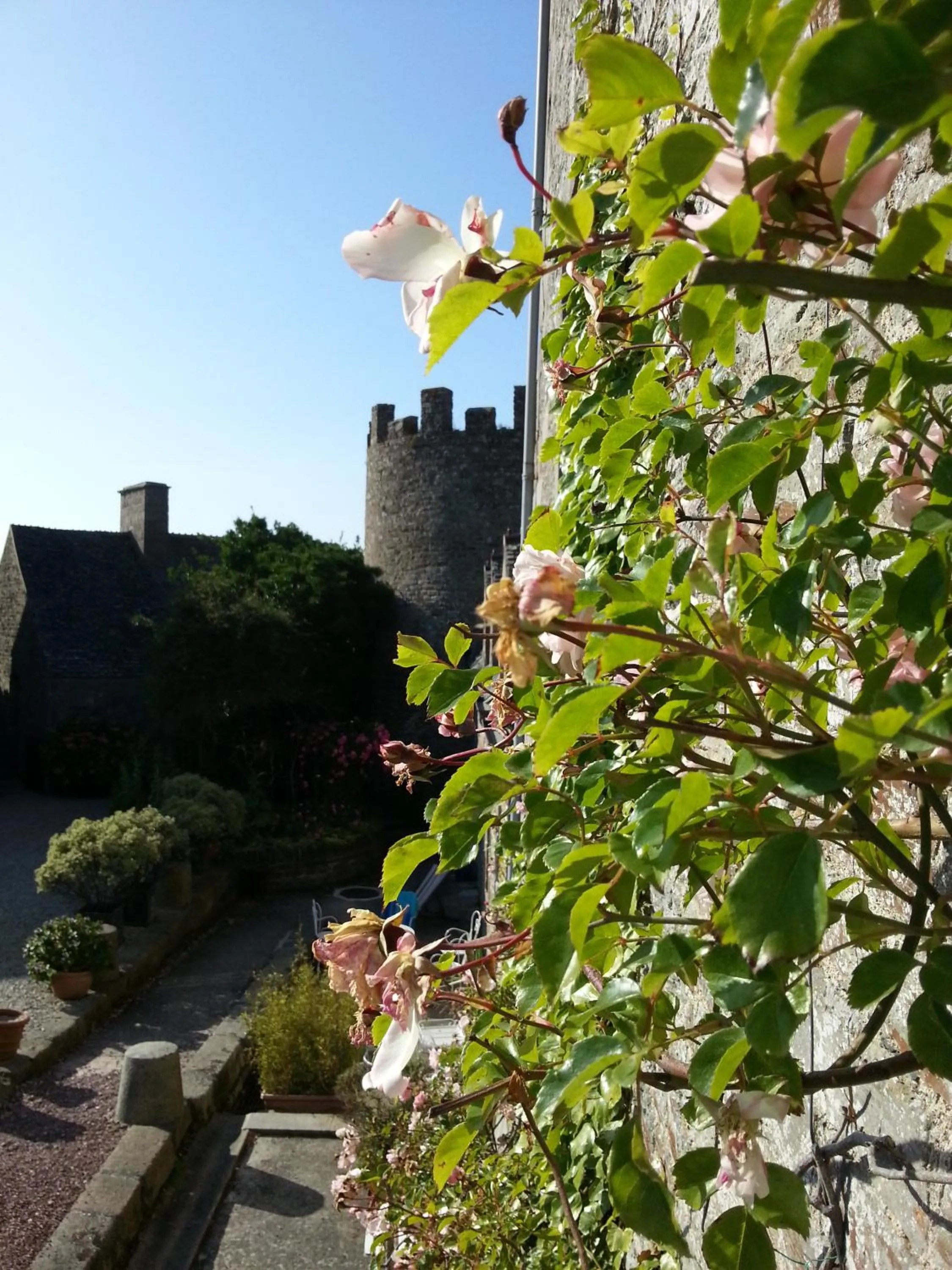 Facade/entrance in Les Chambres du Château du Rozel