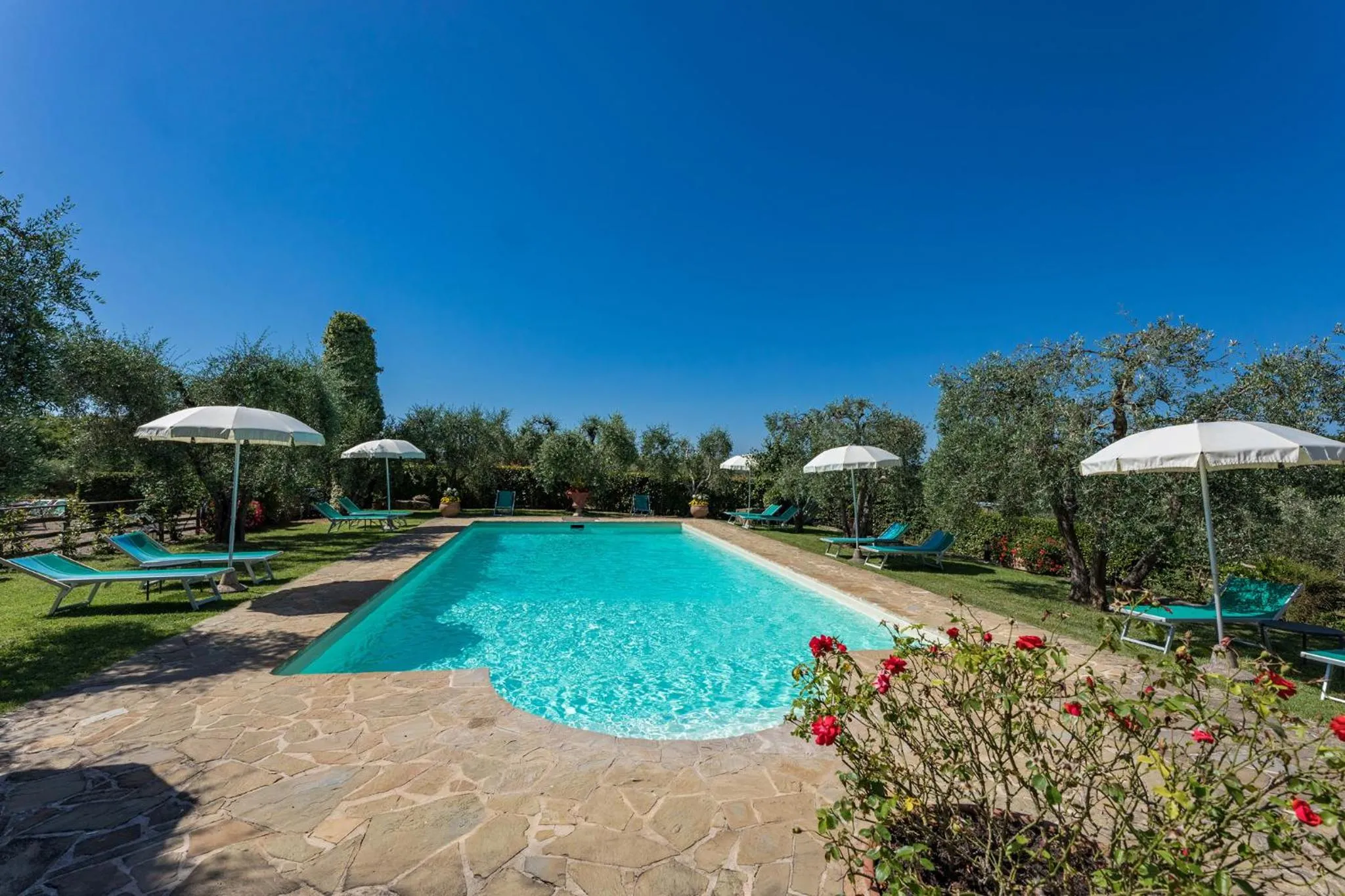 Swimming pool in Il Poderino