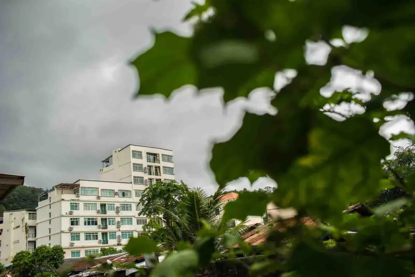 The C Park The C Park