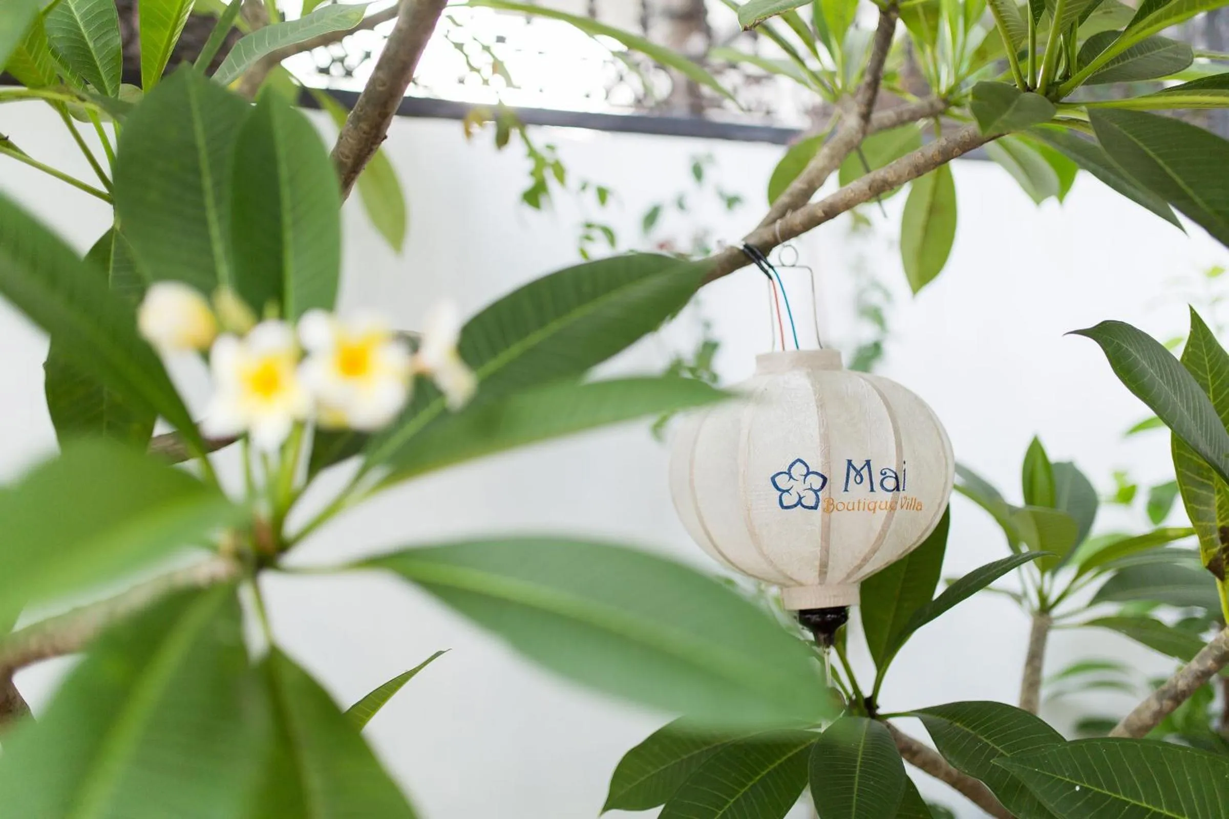 Decorative detail in Mai Boutique Villa