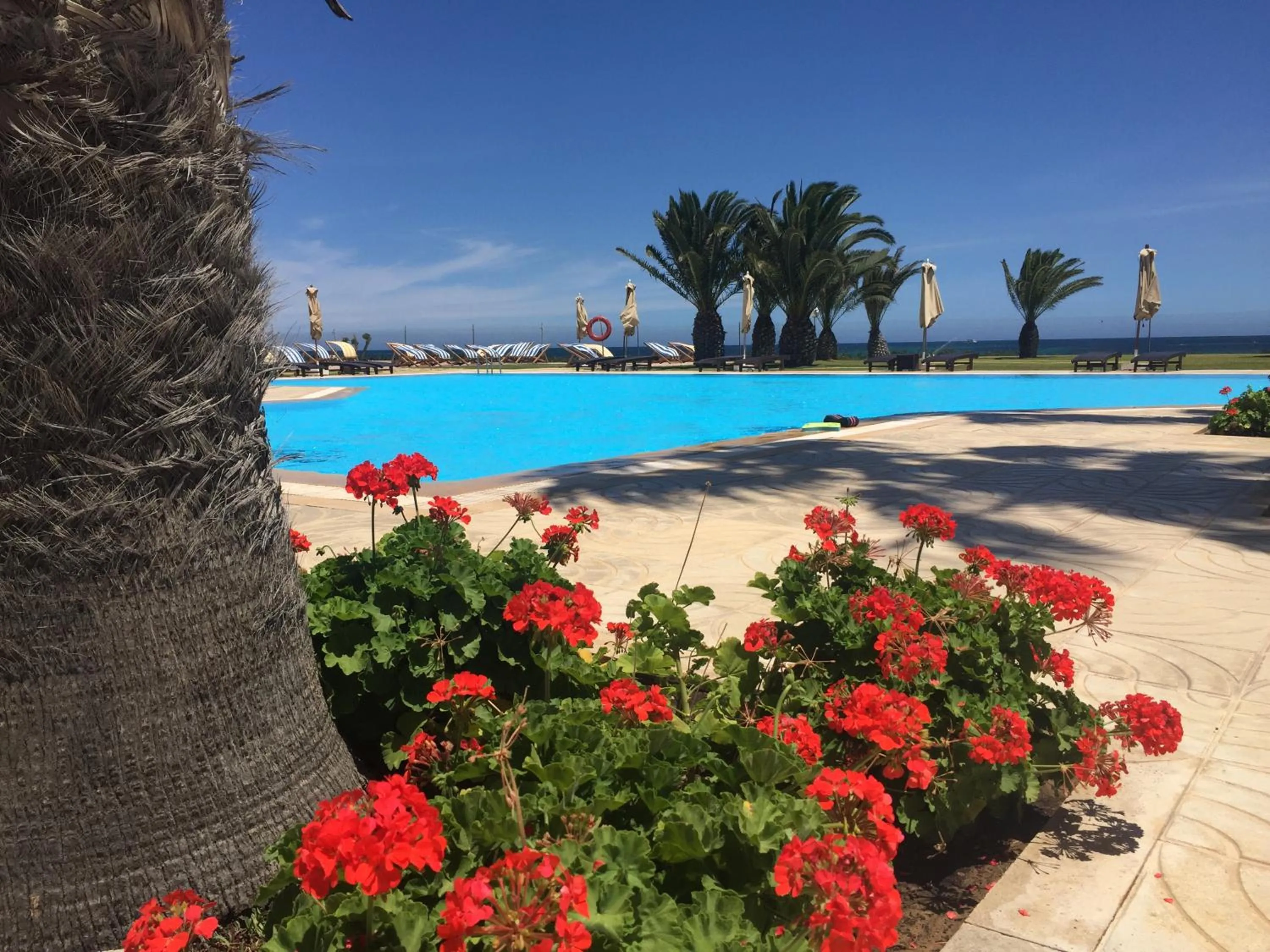 Swimming pool in Residence Ain Meriem