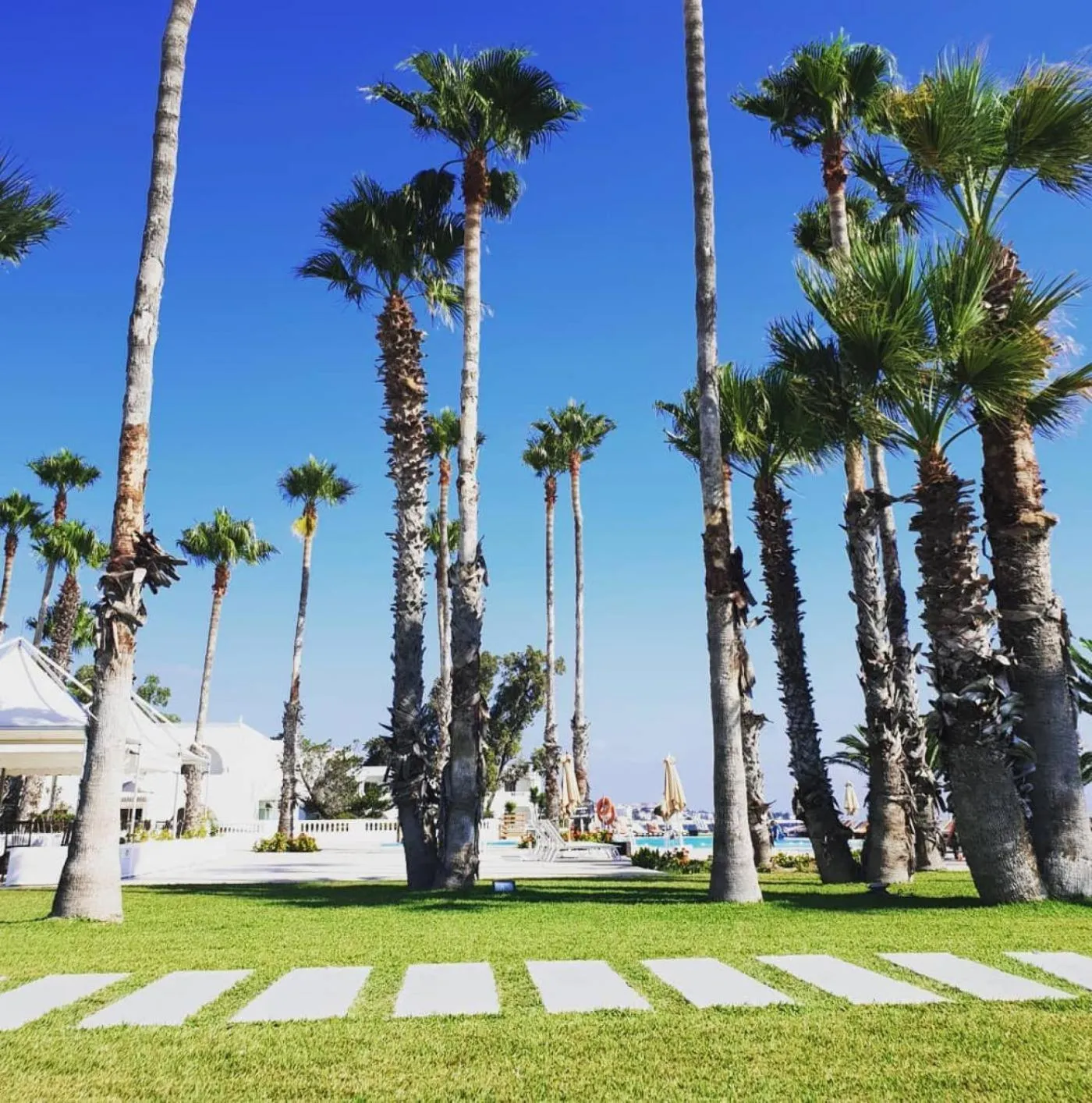 Garden in Residence Ain Meriem