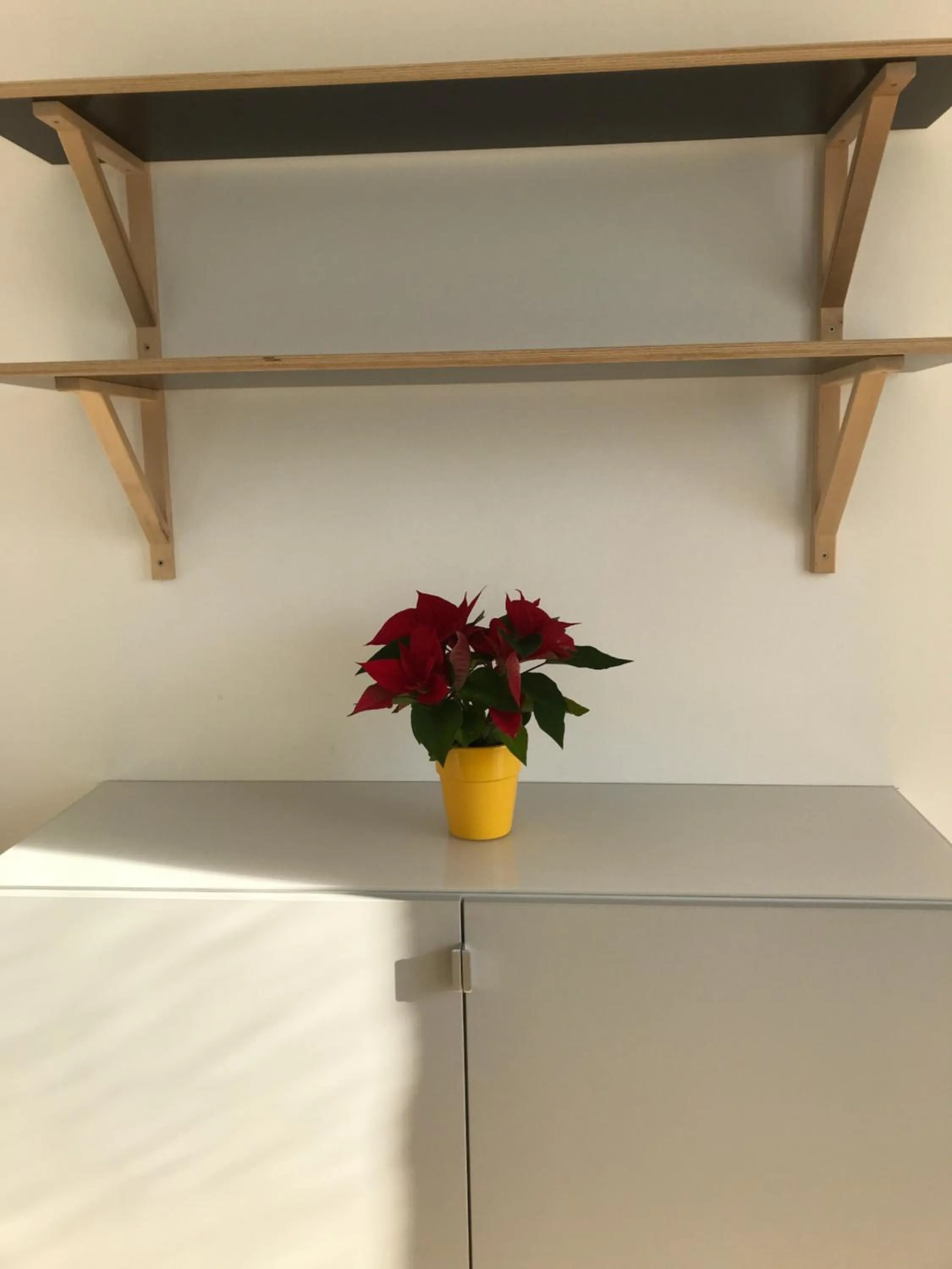 Kitchen or kitchenette in Seehaus Familie Leifer