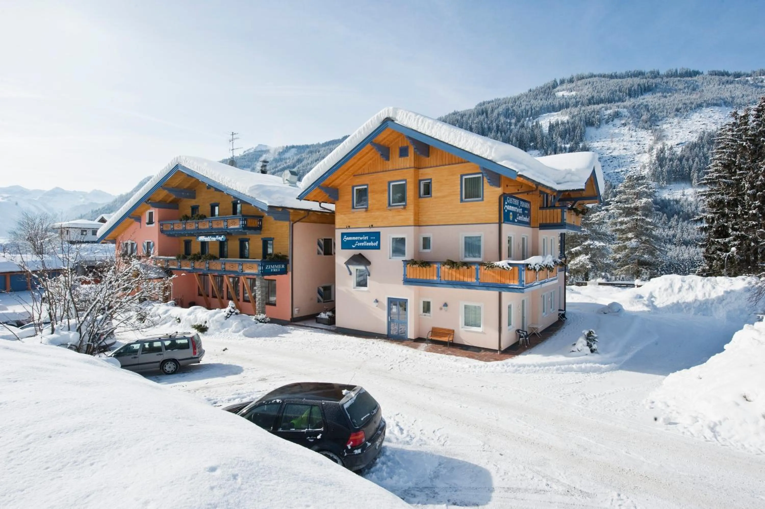 Property building in Hotel Hammerwirt - Forellenhof