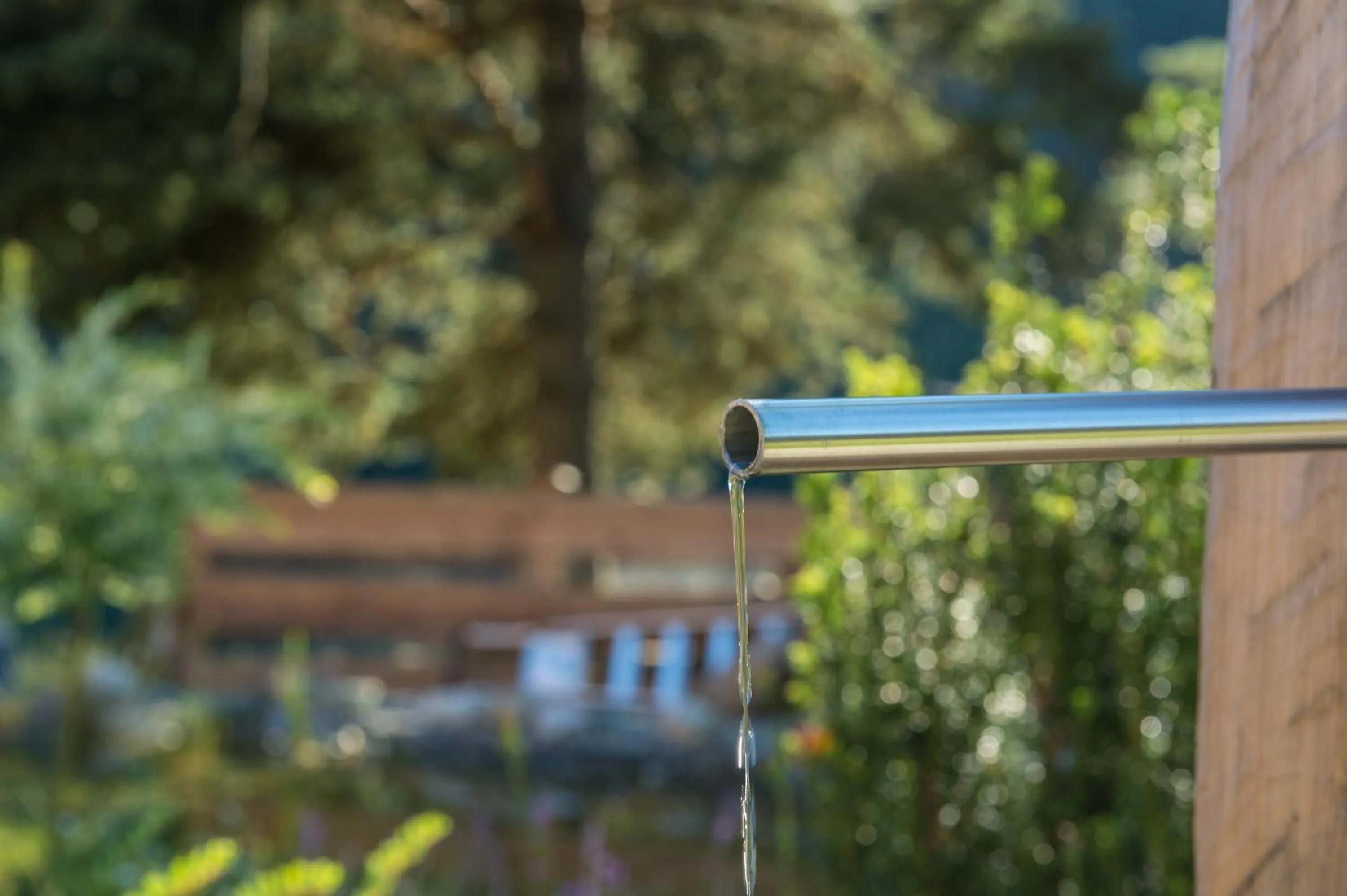 Day in Hotel Hammerwirt - Forellenhof