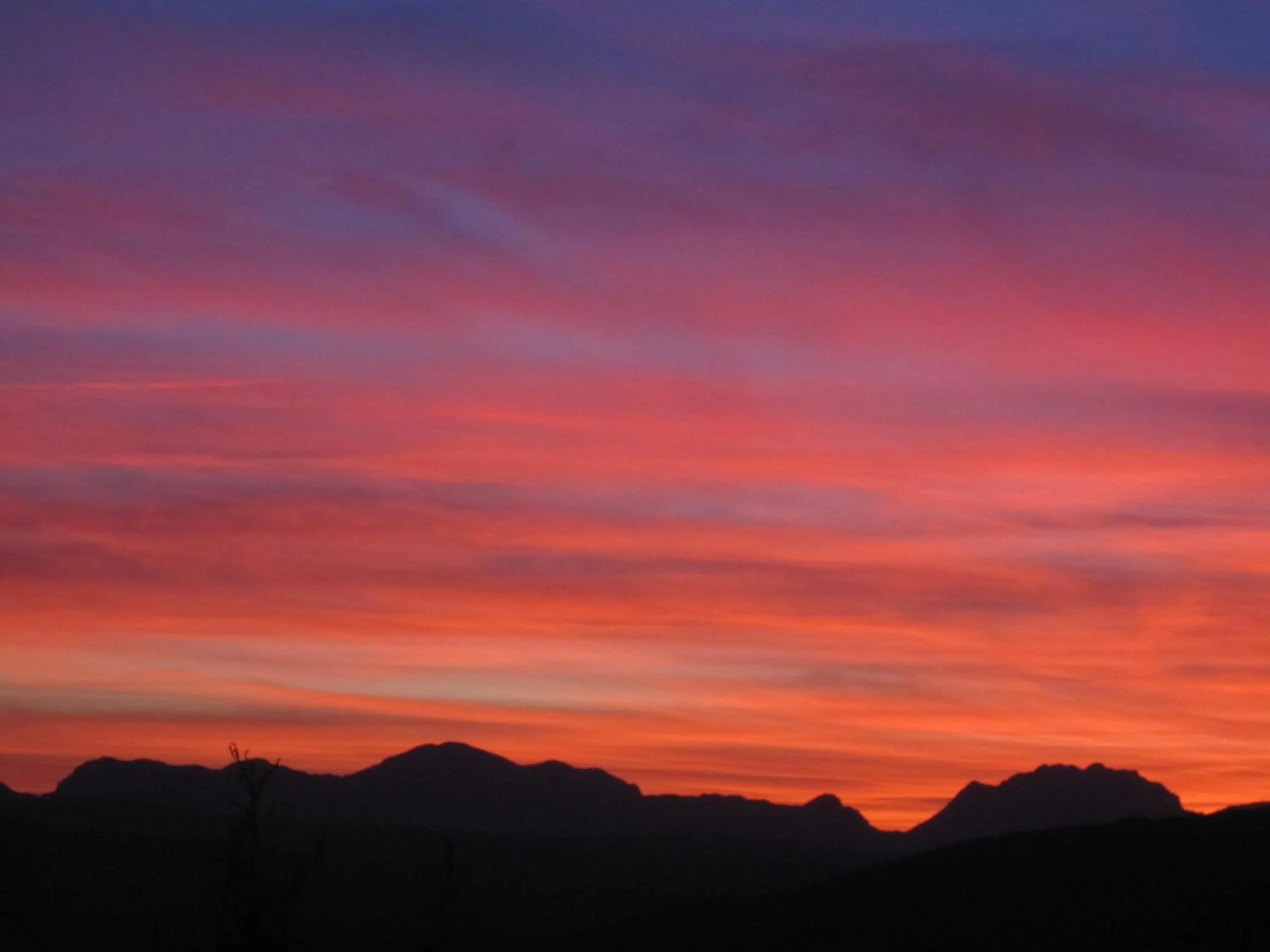 View (from property/room) in Arriadh Hotel