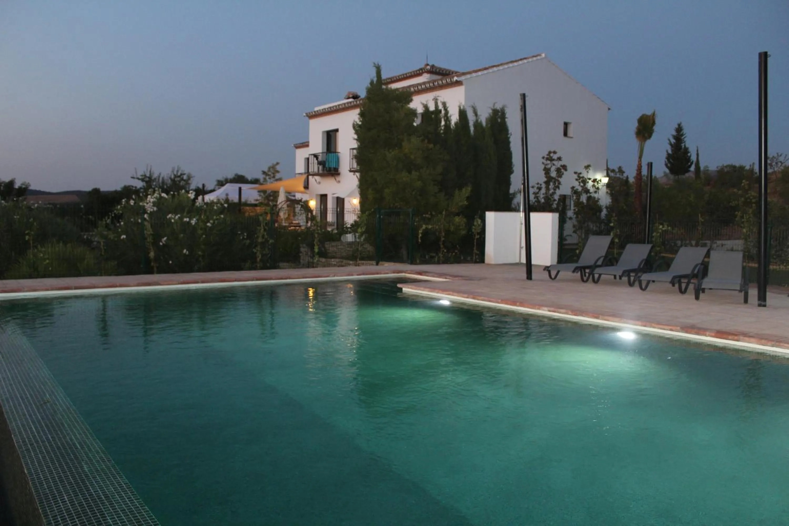Swimming pool in Arriadh Hotel