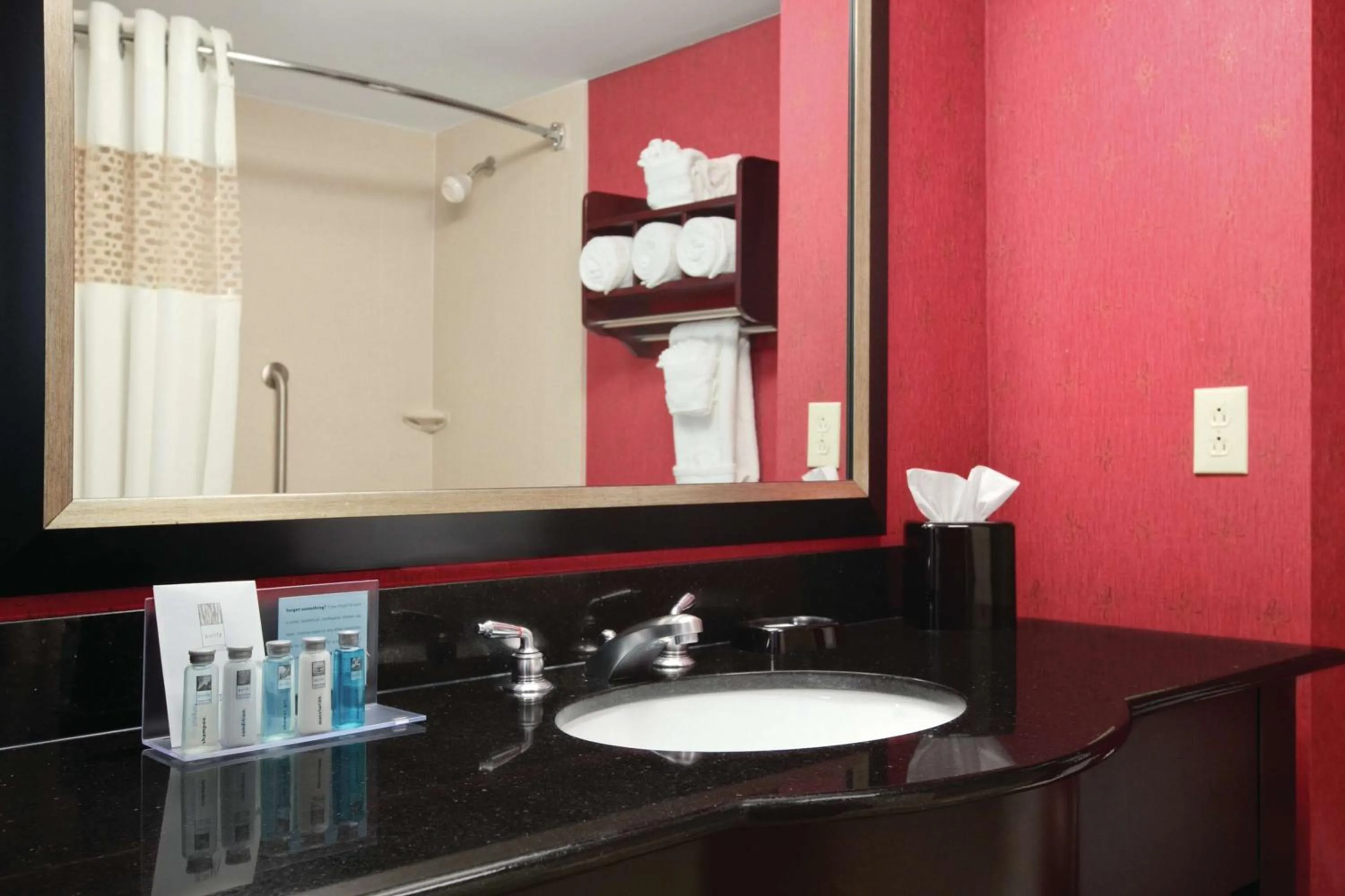 Bathroom in Hampton Inn & Suites Millington