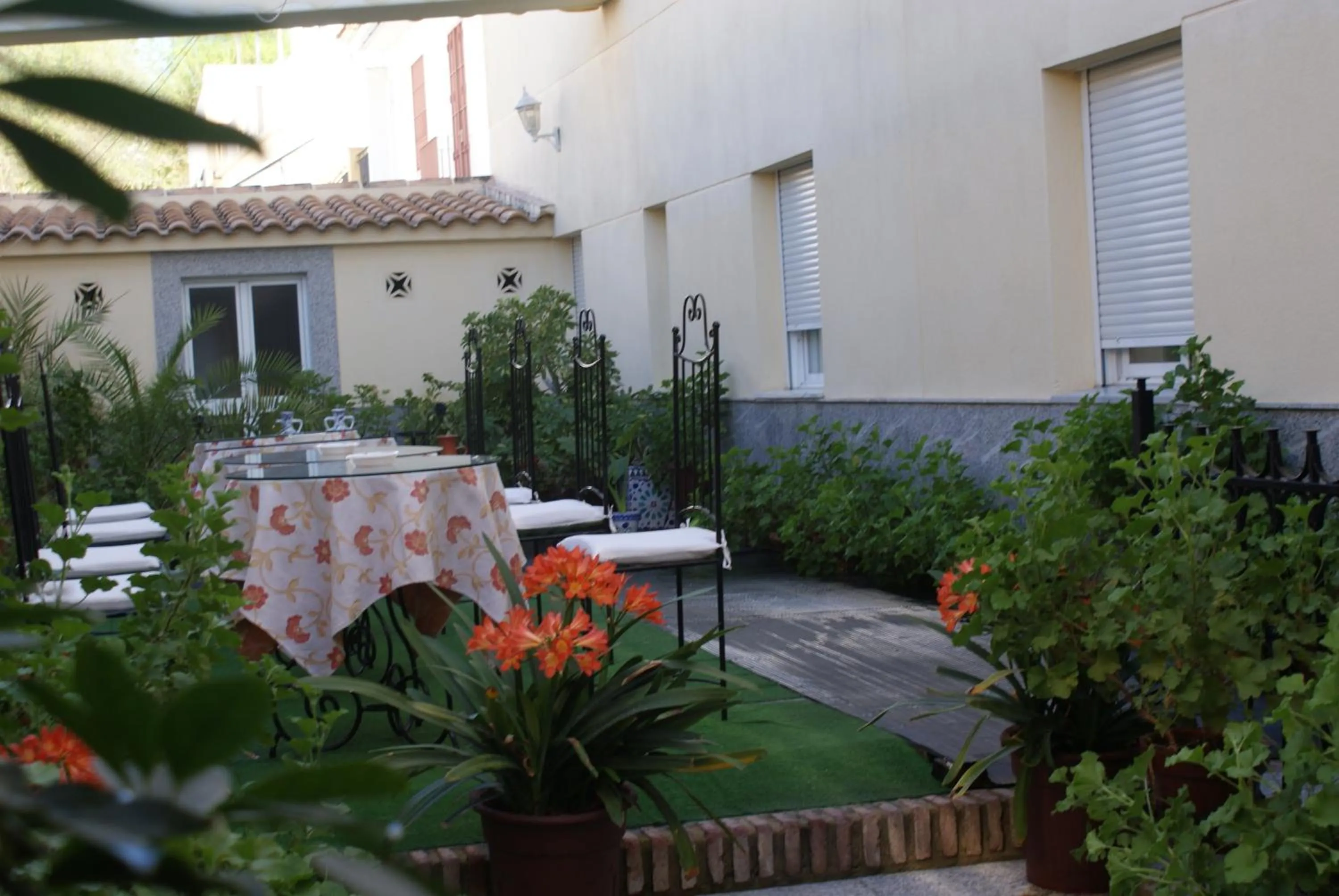 Patio in Maximiano Herculeo