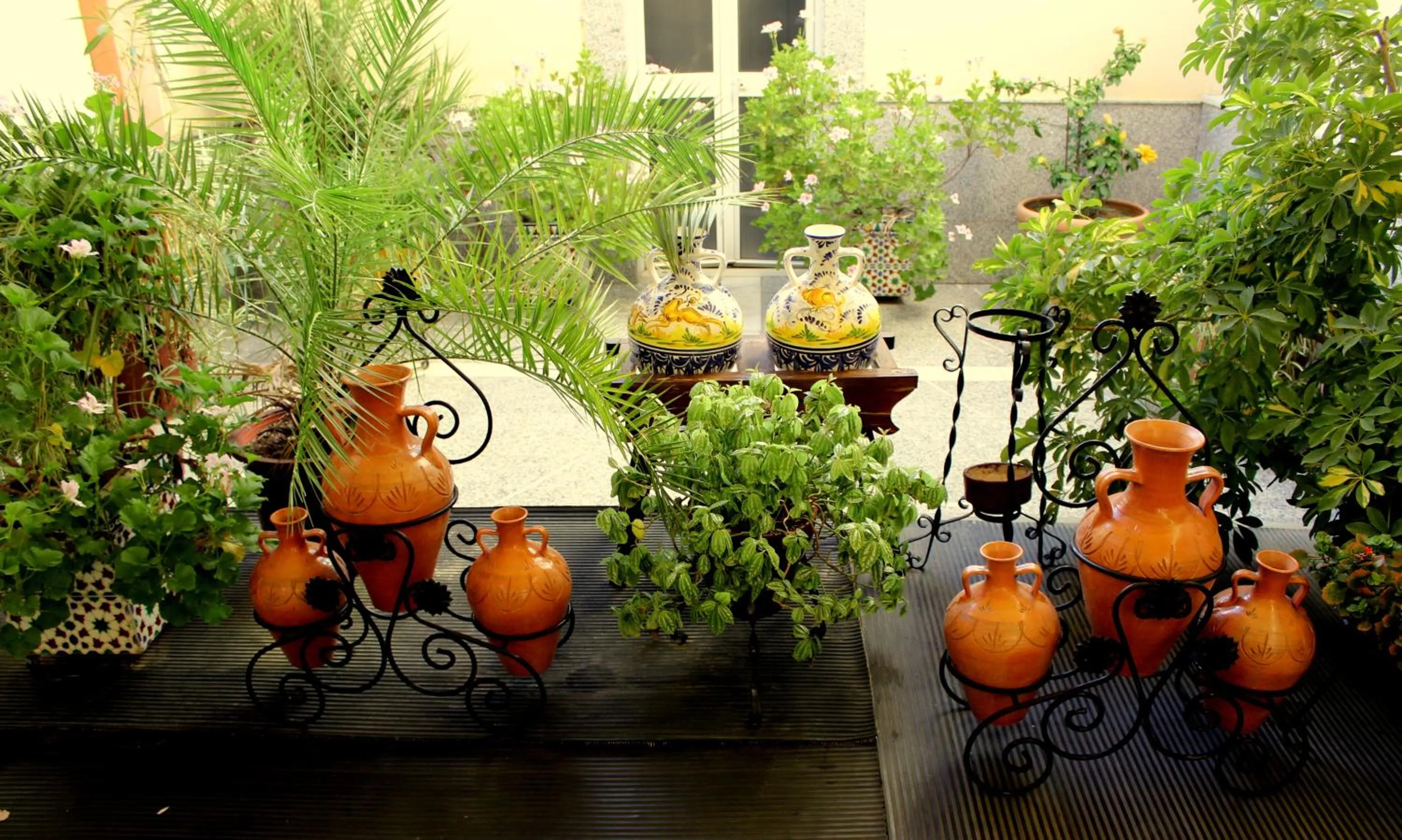 Day in Maximiano Herculeo