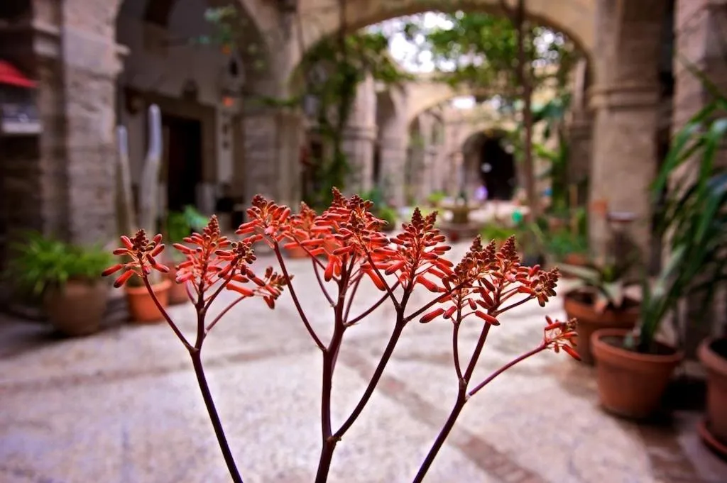 Other in Hotel Balneario Sierra Alhamilla