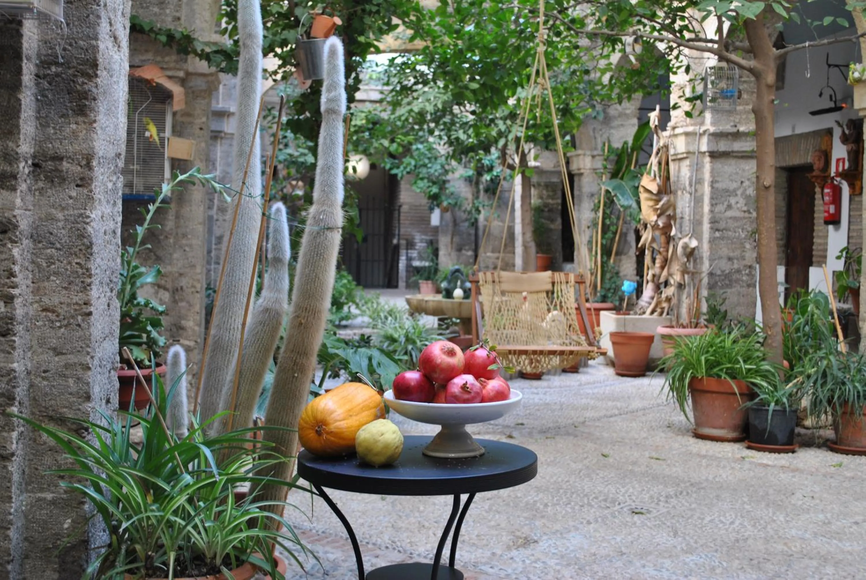 View (from property/room) in Hotel Balneario Sierra Alhamilla