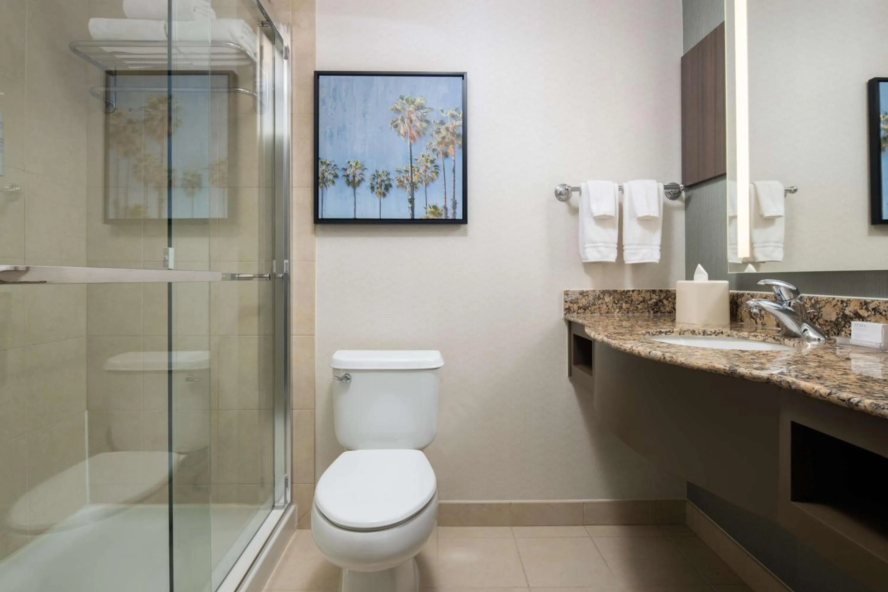 Bathroom in Hilton Garden Inn Fontana