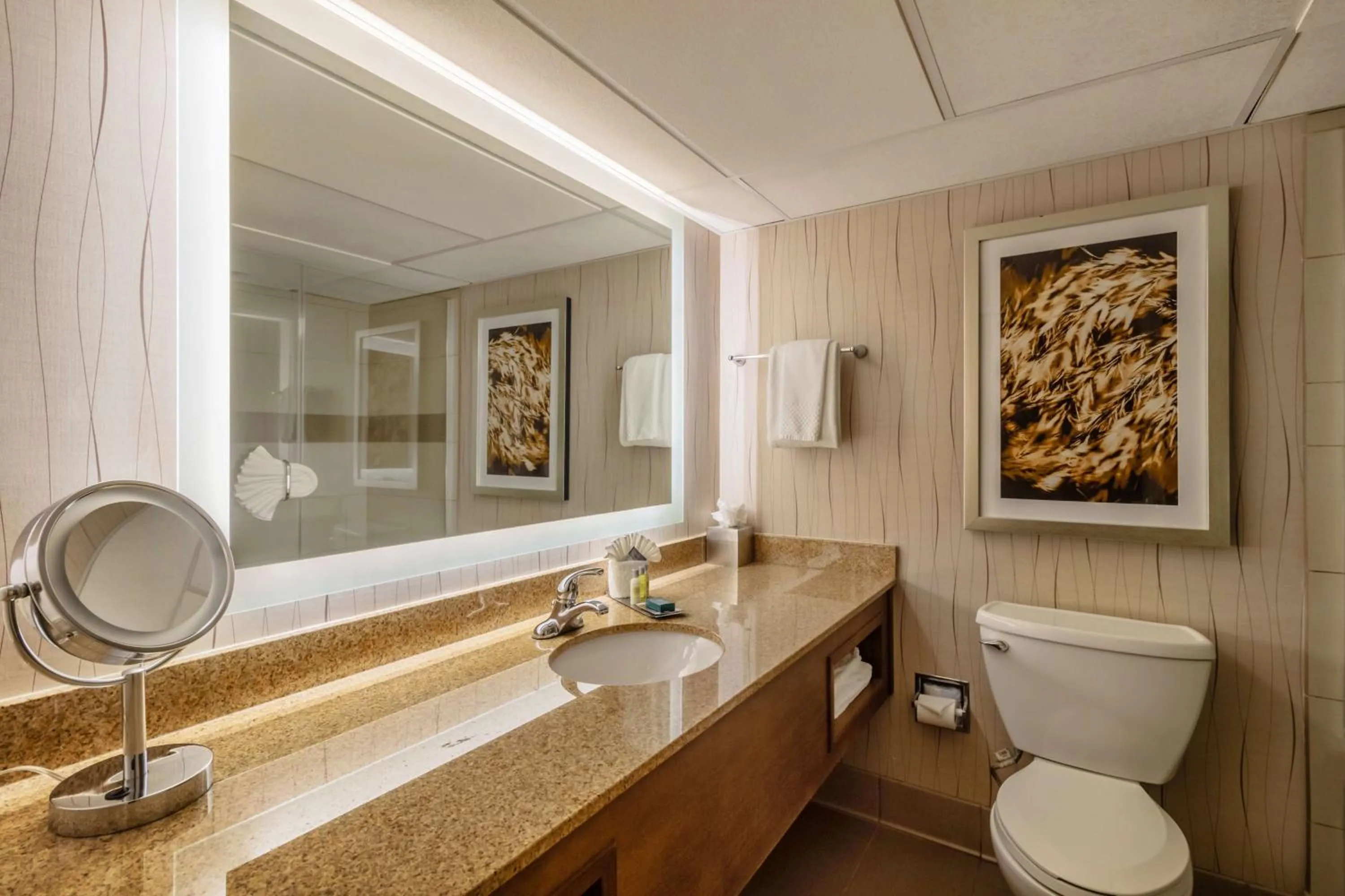 Bathroom in DoubleTree by Hilton Lawrence
