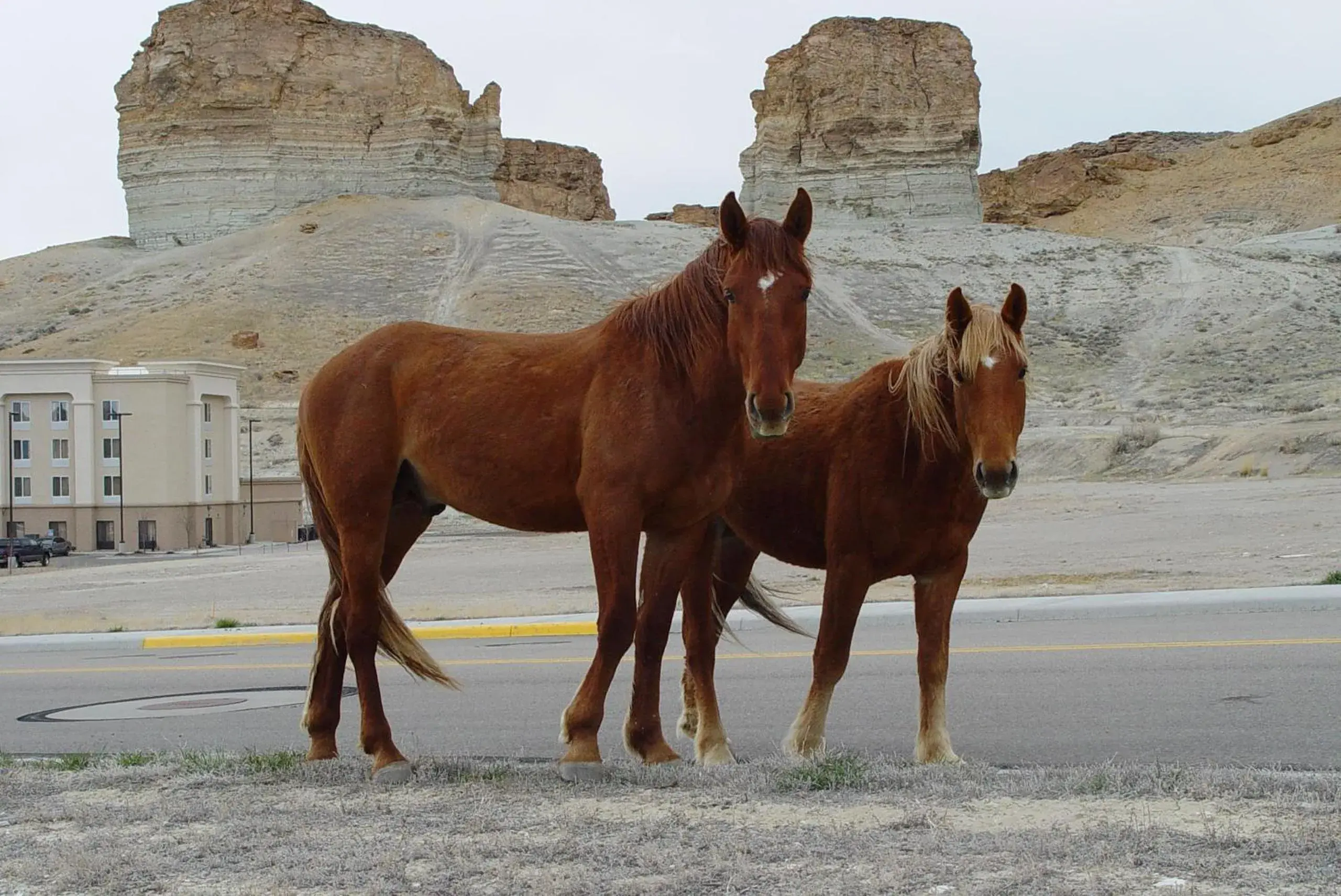 Property building in Hampton Inn & Suites Green River Property building in Hampton Inn & Suites Green River