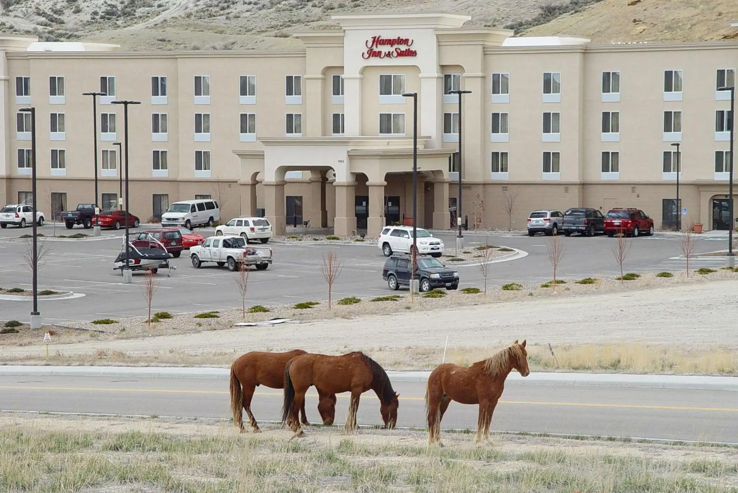 Property building in Hampton Inn & Suites Green River Property building in Hampton Inn & Suites Green River