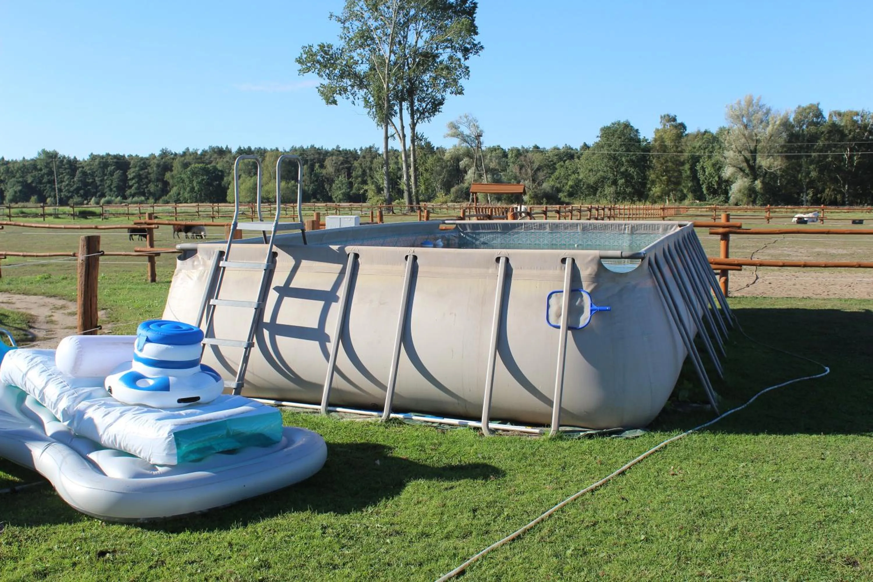 Swimming pool in Feniks Agro&Spa Adults Only