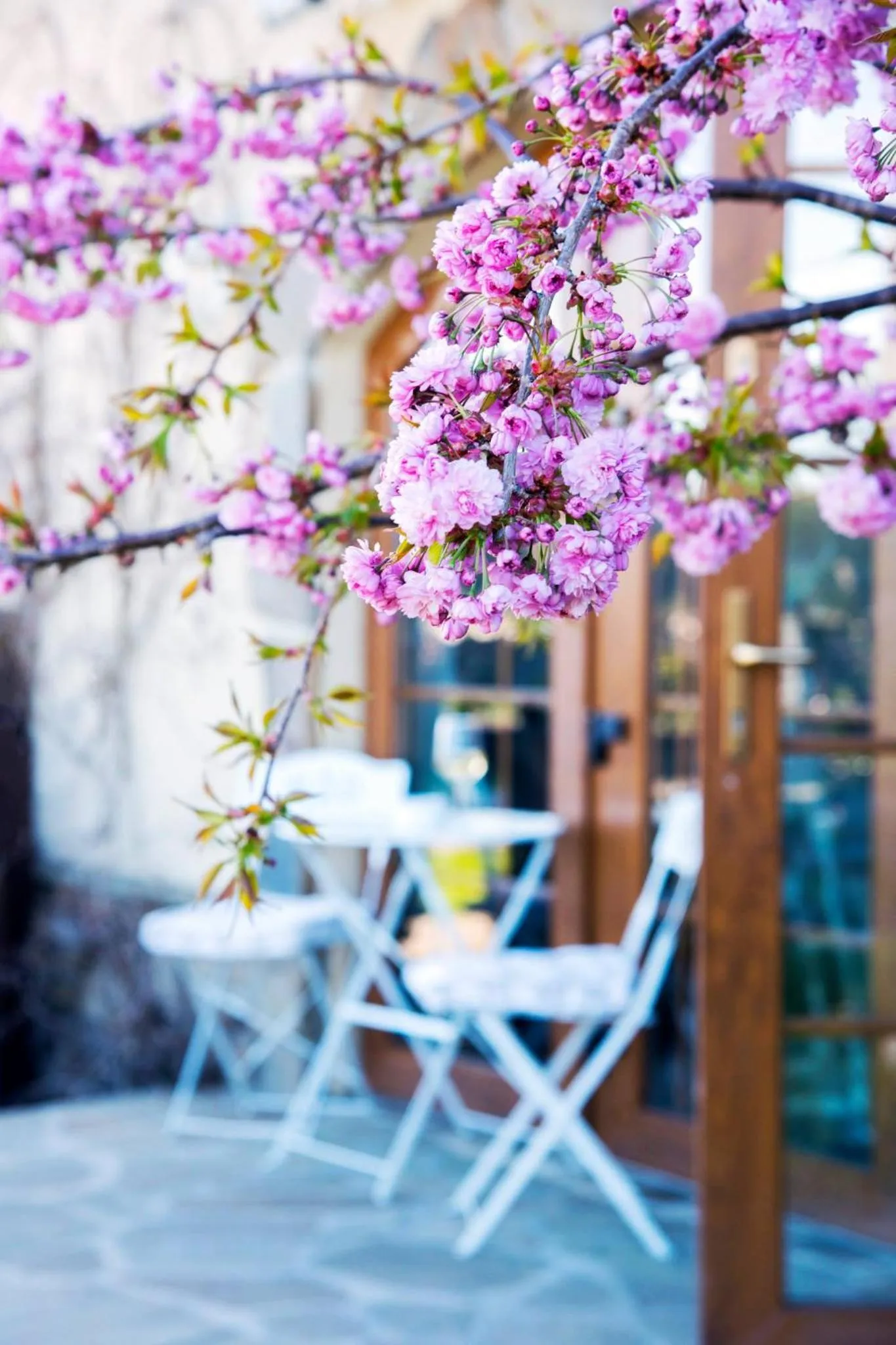 Facade/entrance in Feniks Agro&Spa Adults Only