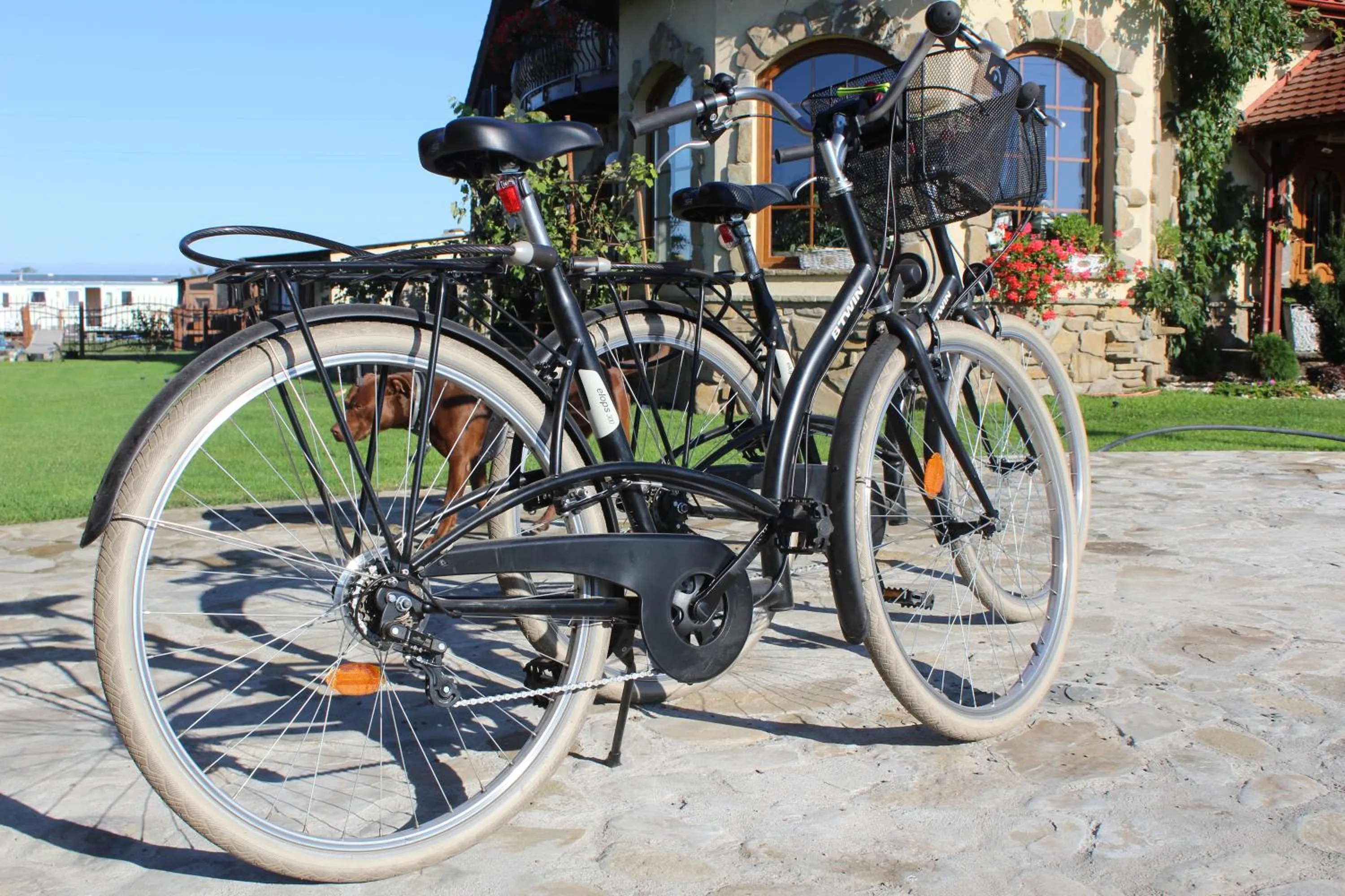 Cycling in Feniks Agro&Spa Adults Only