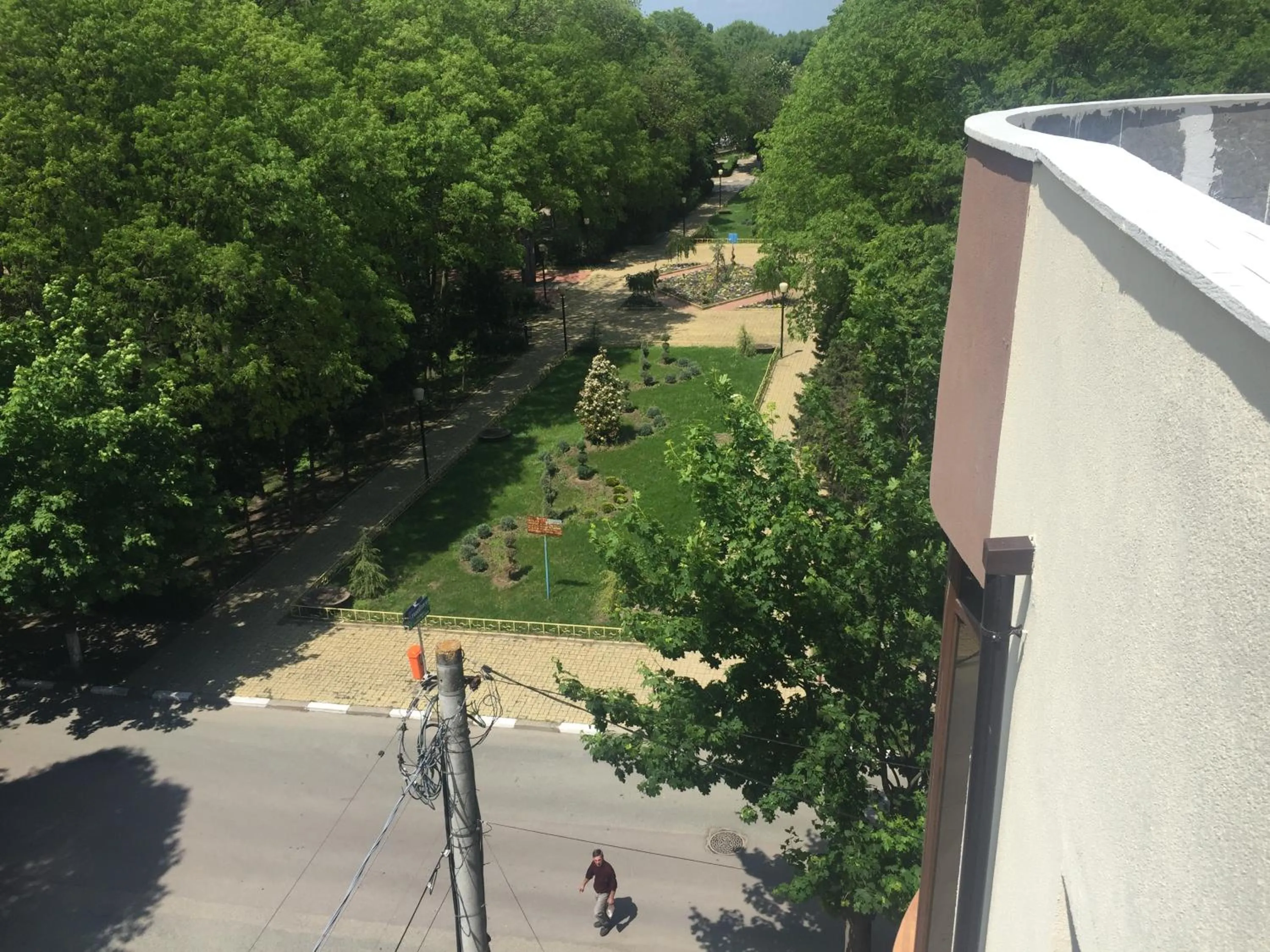 Garden in Paradox Oituz