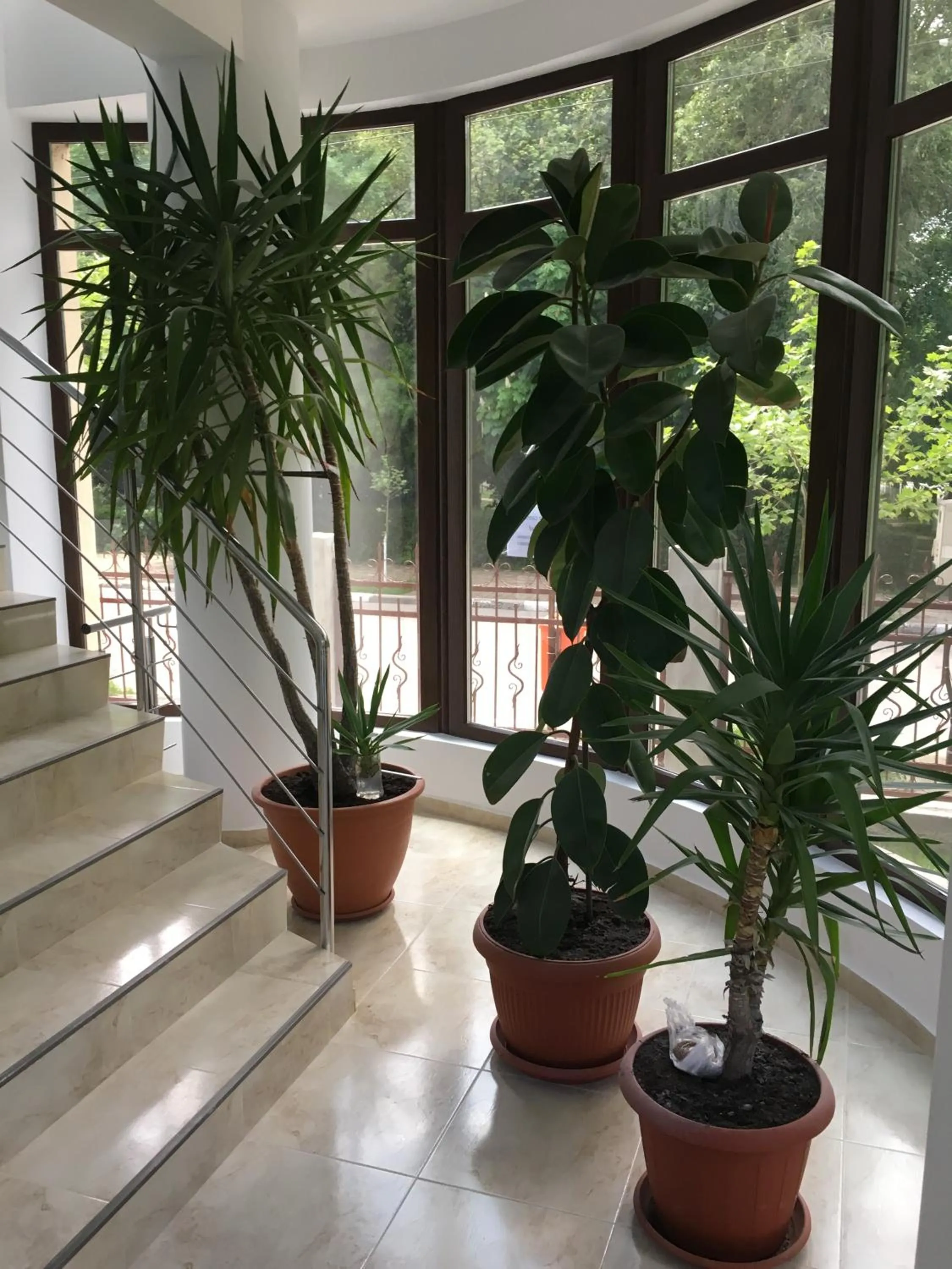 Lobby or reception in Paradox Oituz