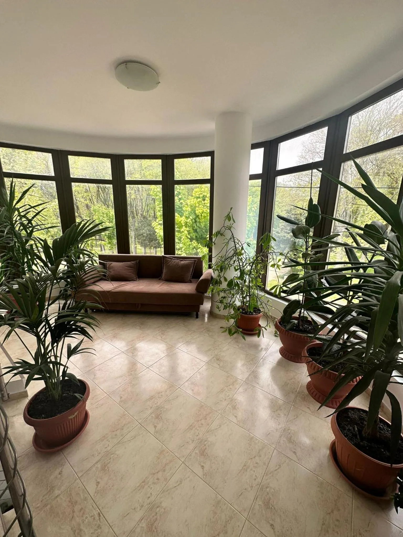 Property building in Paradox Oituz